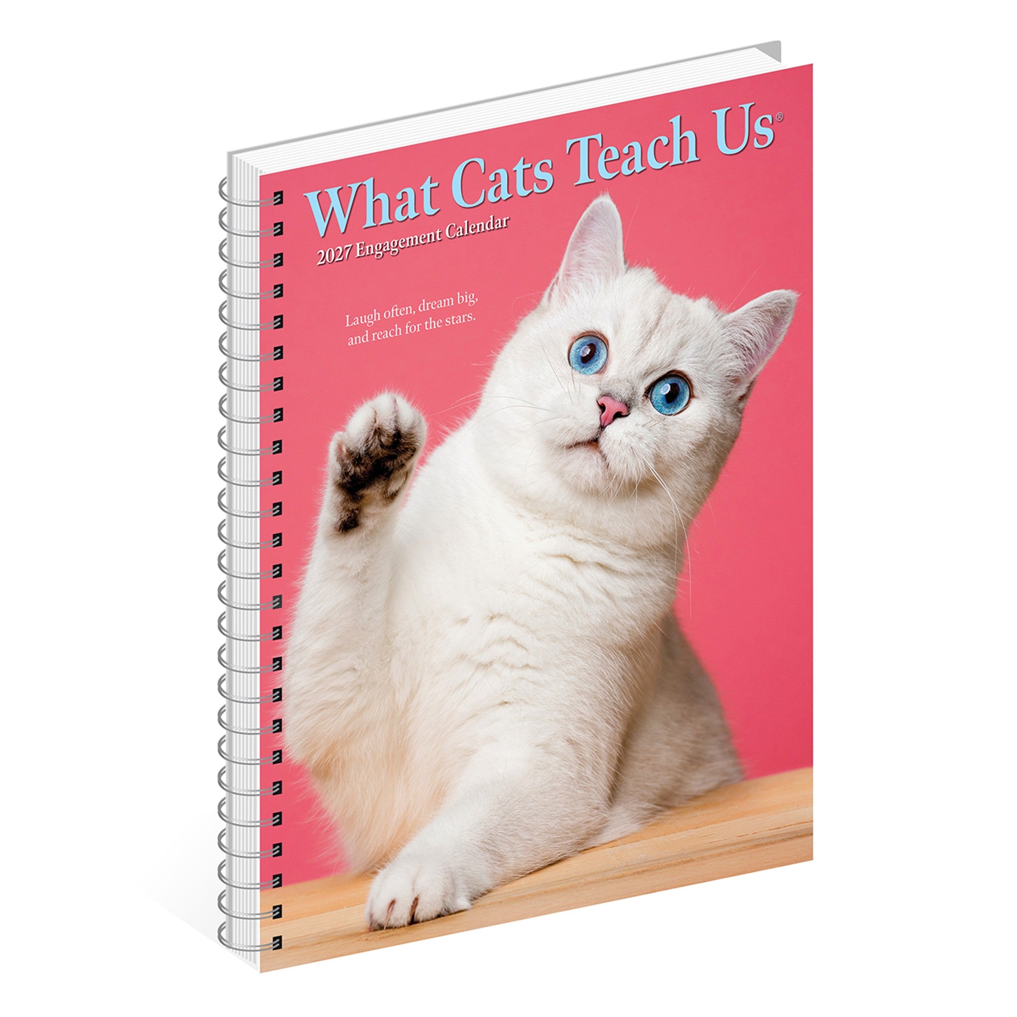 What Cats Teach Us 2027 Engagement Calendar