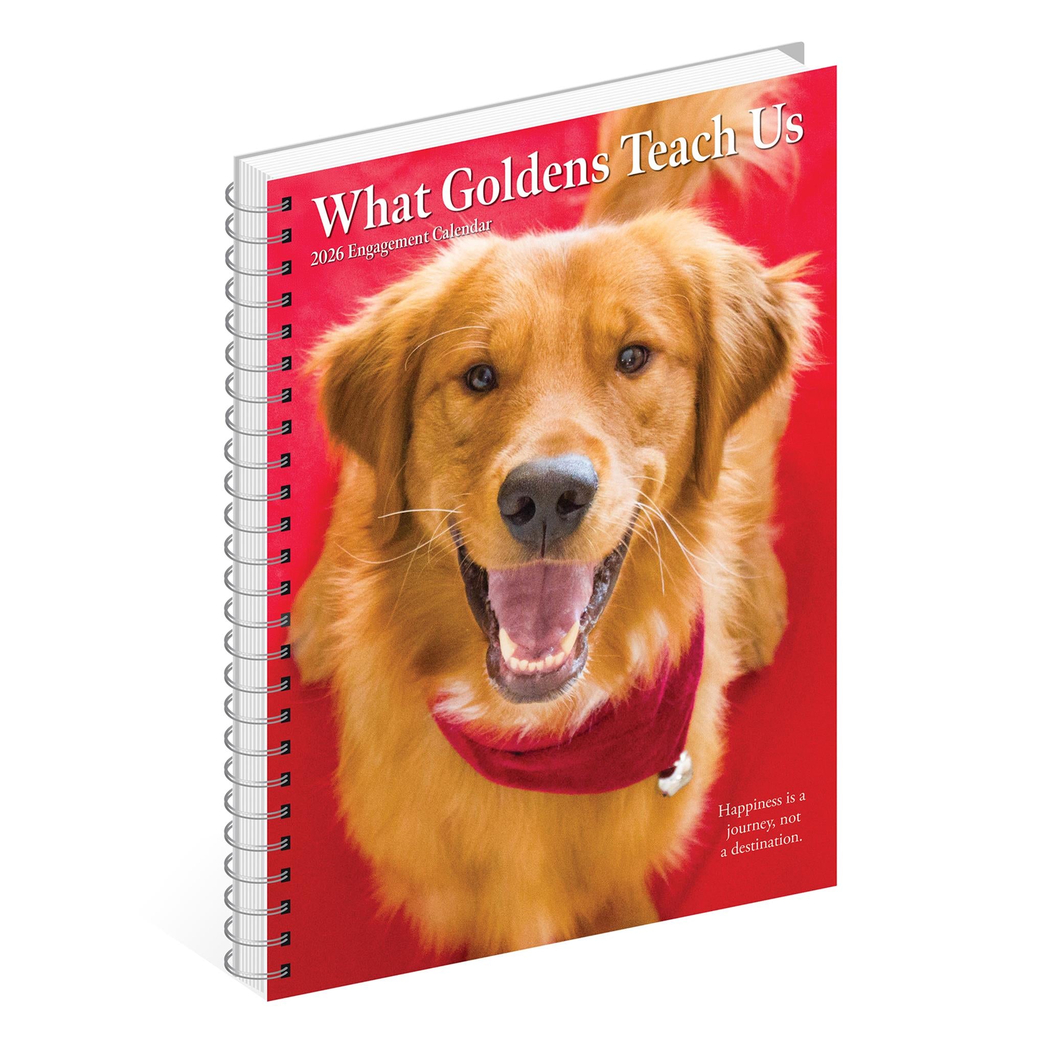 What Goldens Teach Us 2026 Engagement Calendar