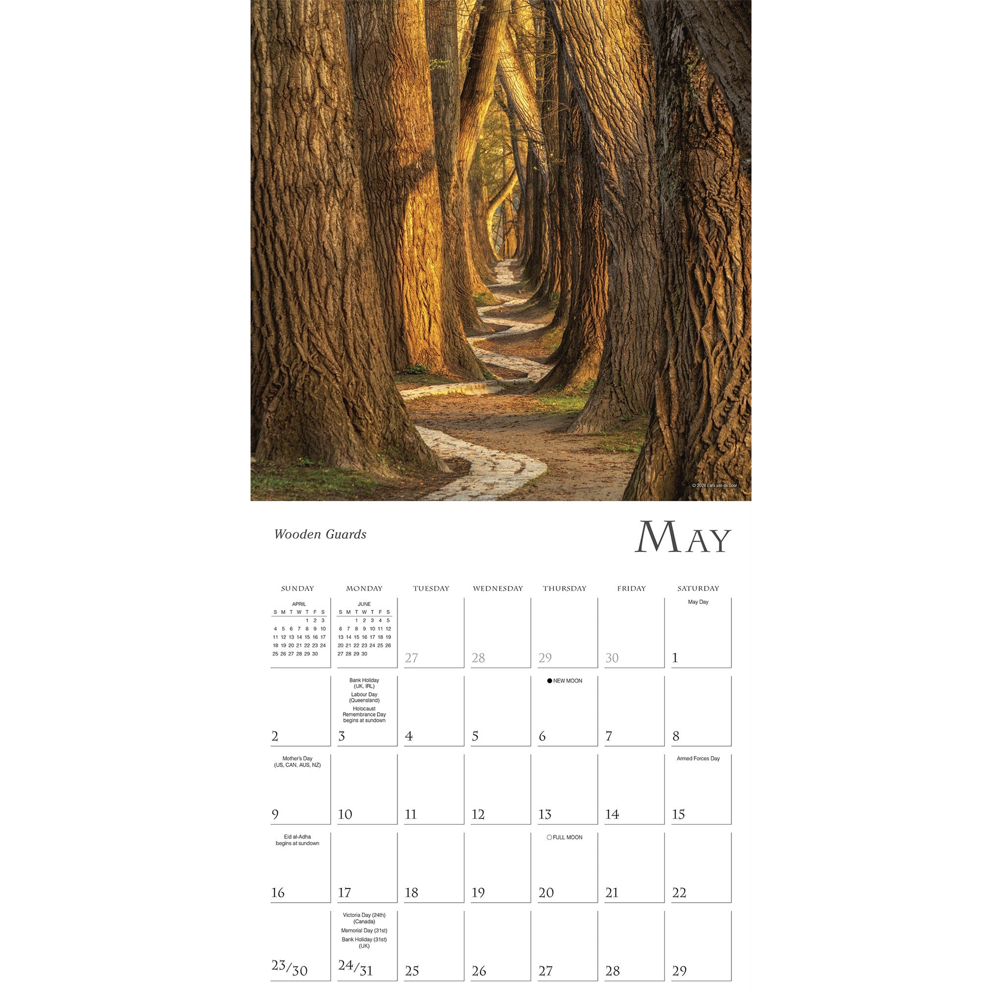 Enchanted Pathways 2027 Wall Calendar