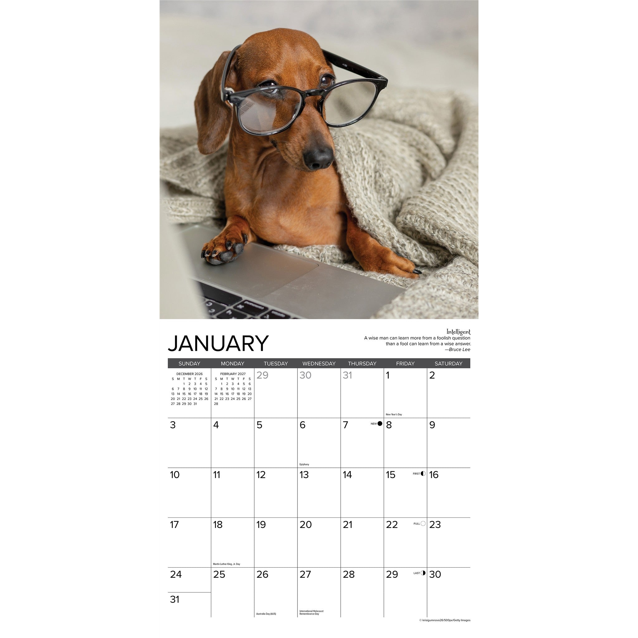 Dachshund Rules 2027 Wall Calendar