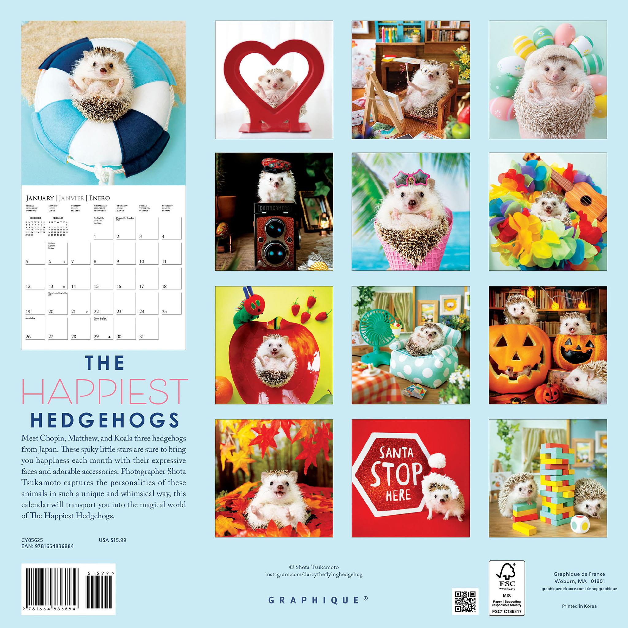 Happiest Hedgehogs Wall 2025 Calendar
