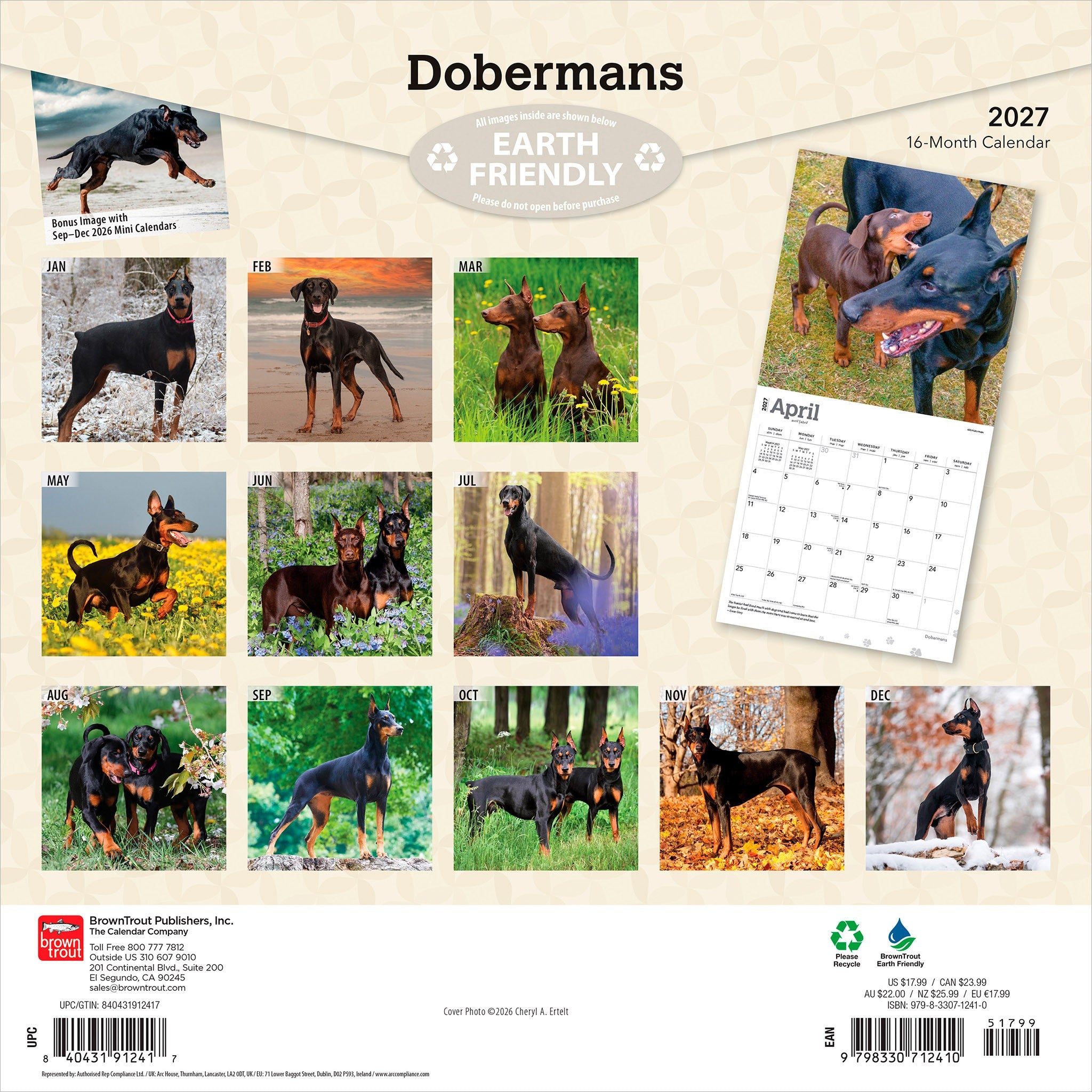 Dobermans 2027 Wall Calendar