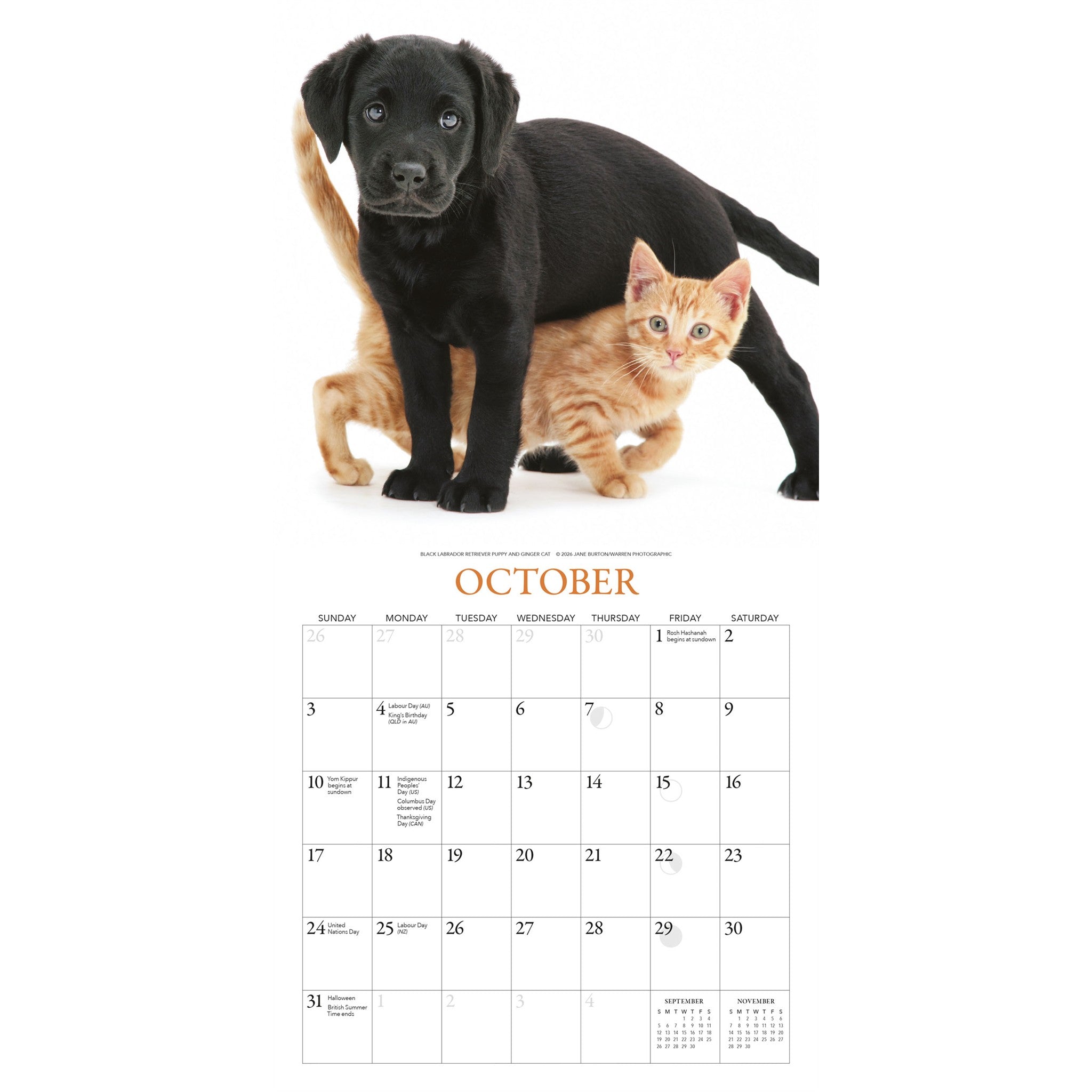Puppies and Friends 2027 Mini Calendar