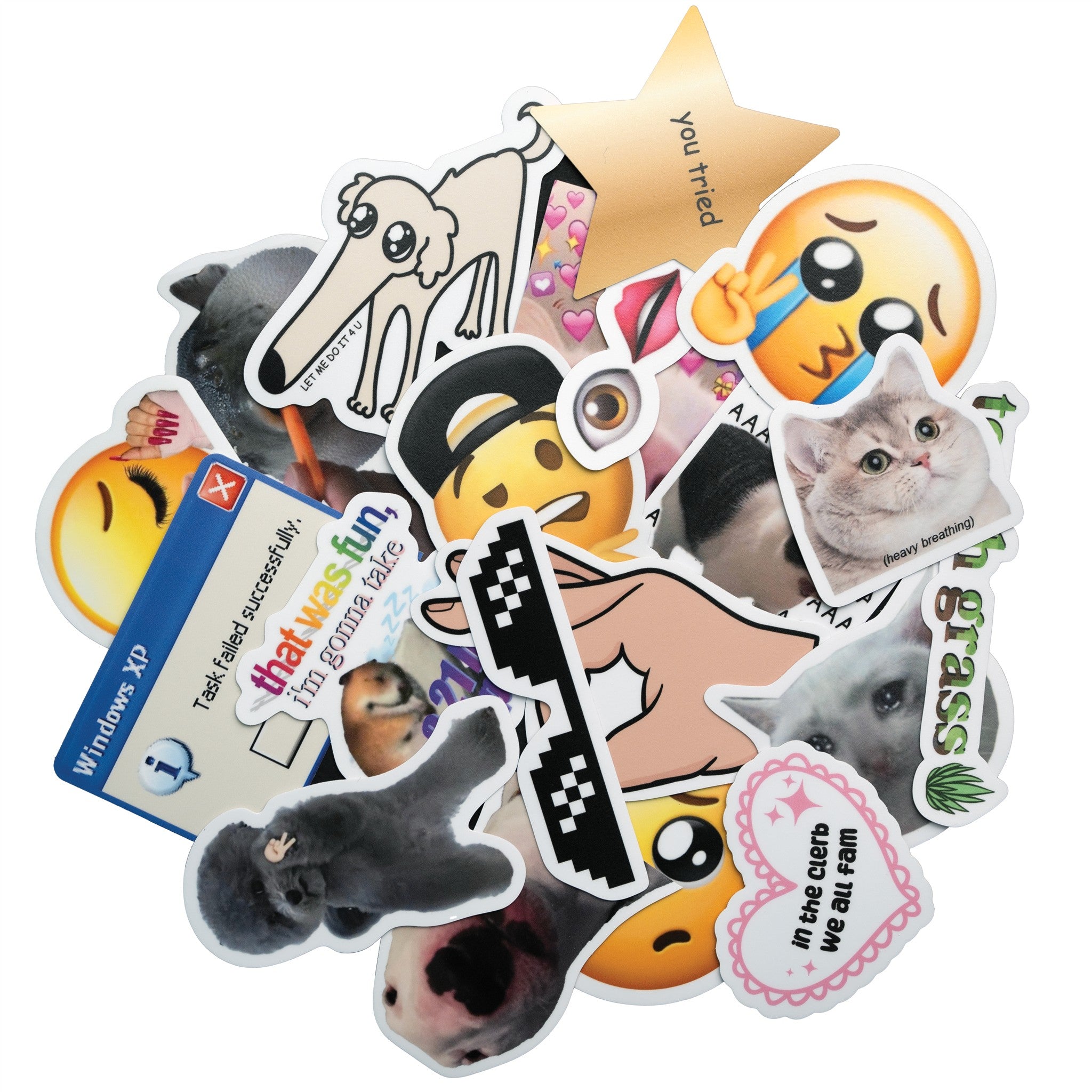 Memes Mystery Pack 20 Vinyl Stickers