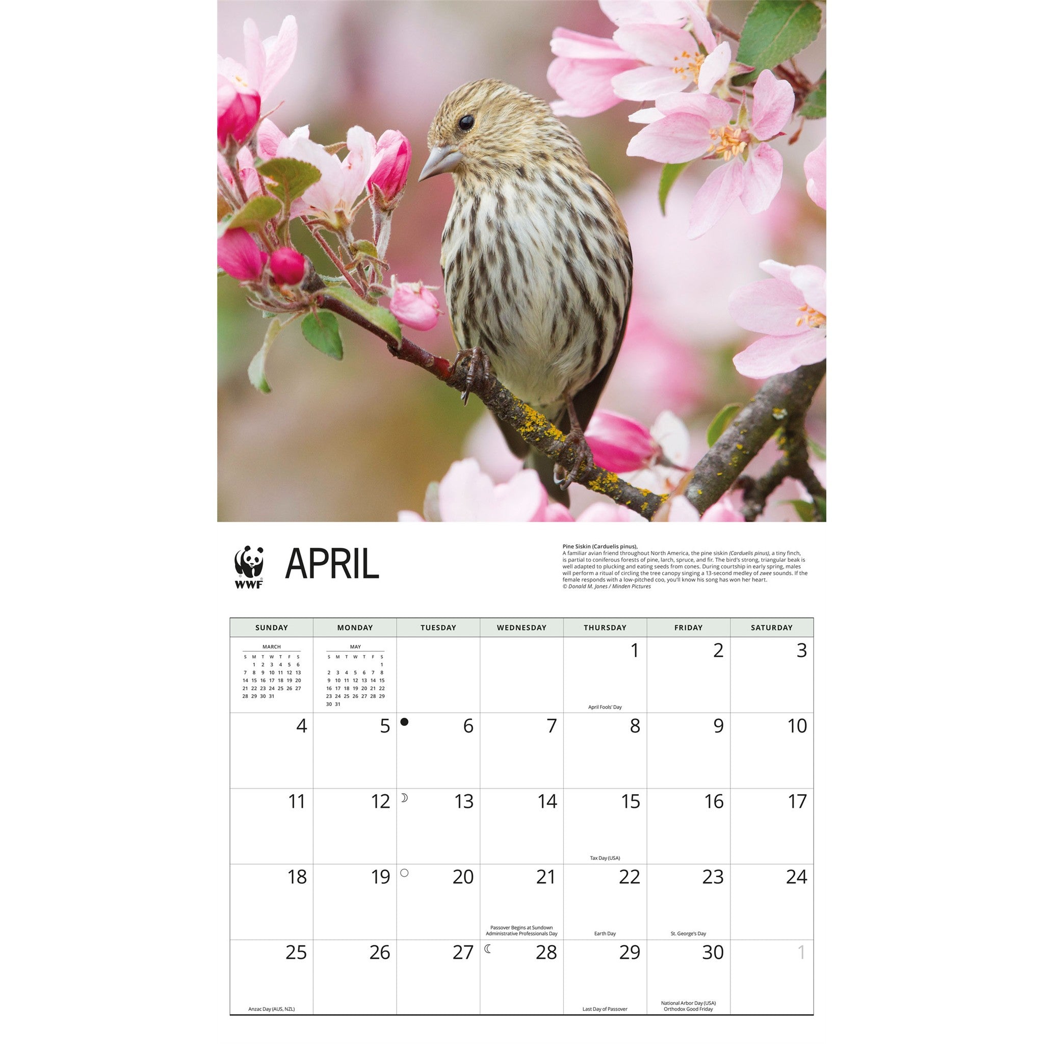 World Wildlife Fund Songbirds 2027 Wall Calendar