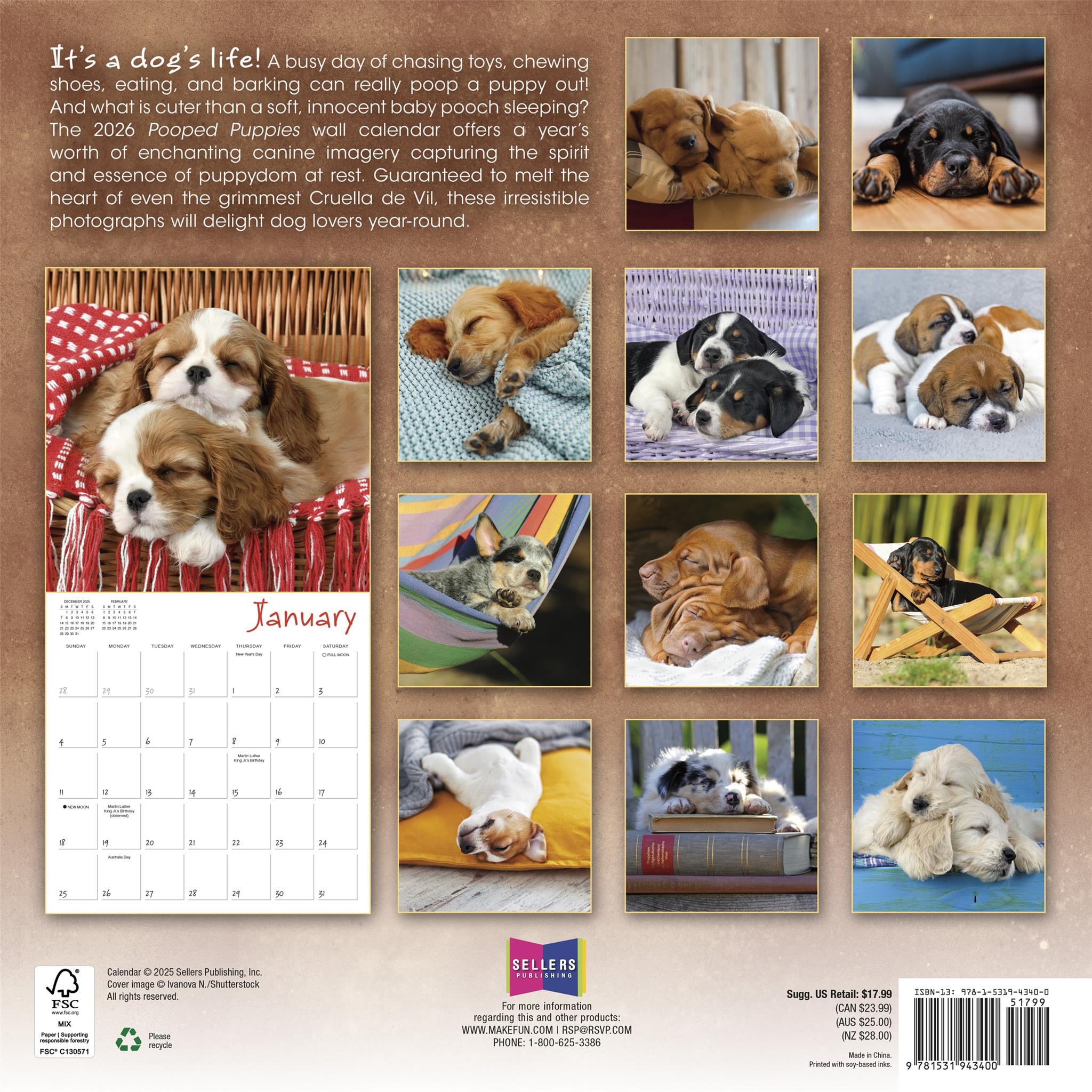 Pooped Puppies 2026 Wall Calendar - Online Only
