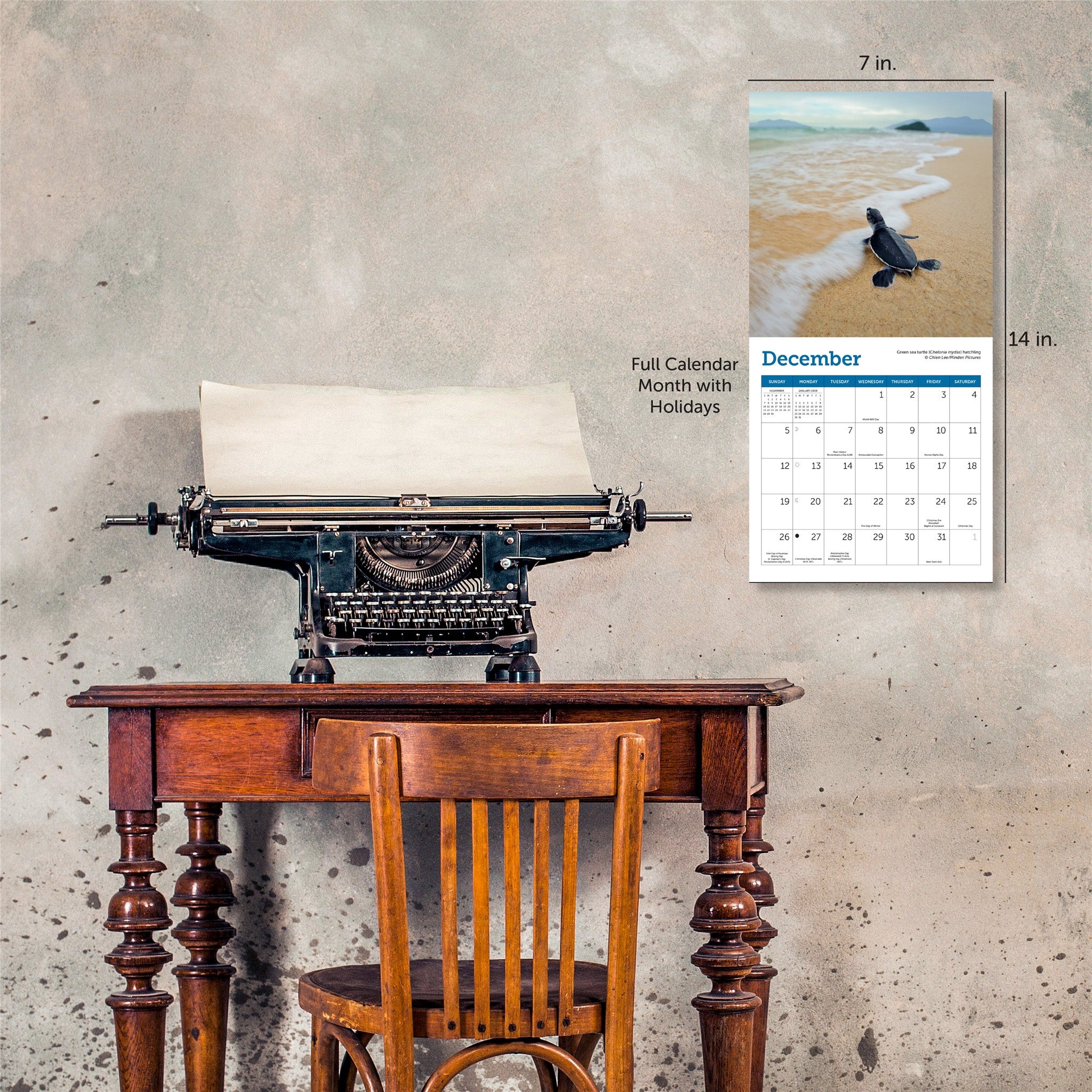 Sea Turtles 2027 Mini Calendar