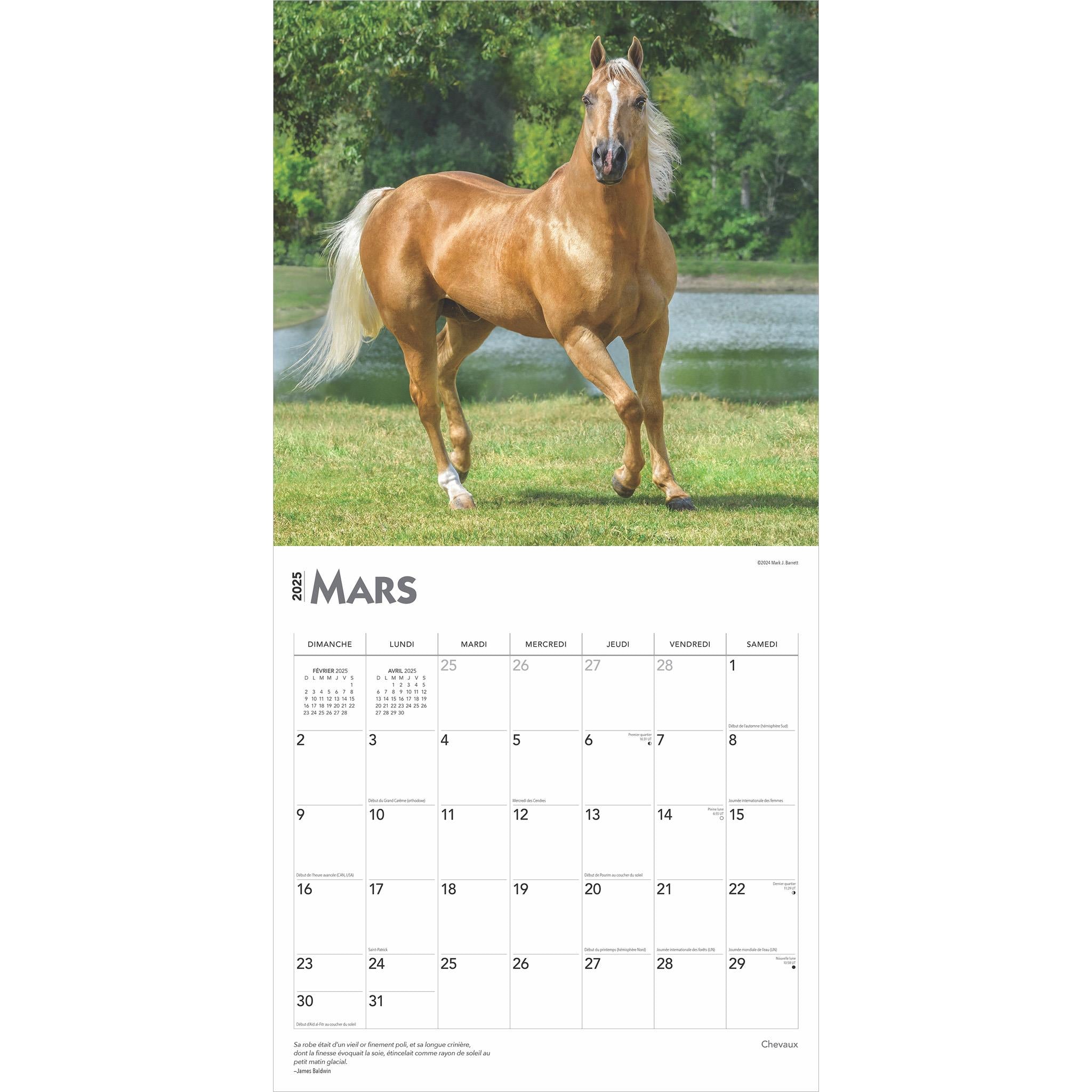 Chevaux Wall 2025 Calendar (French)