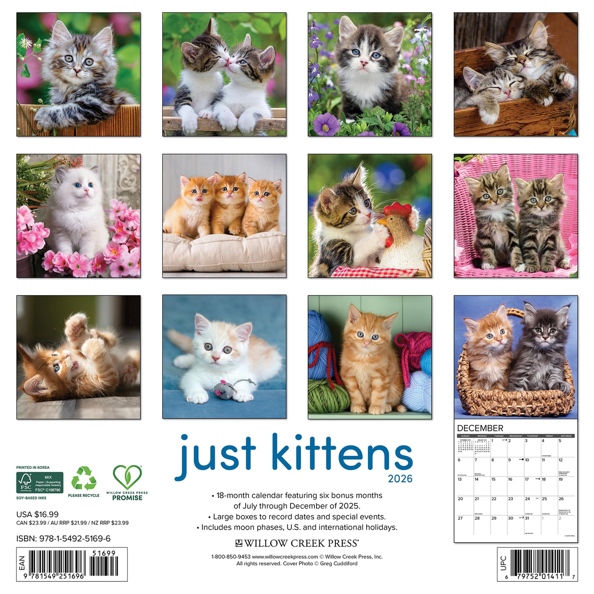 Just Kittens 2026 Wall Calendar
