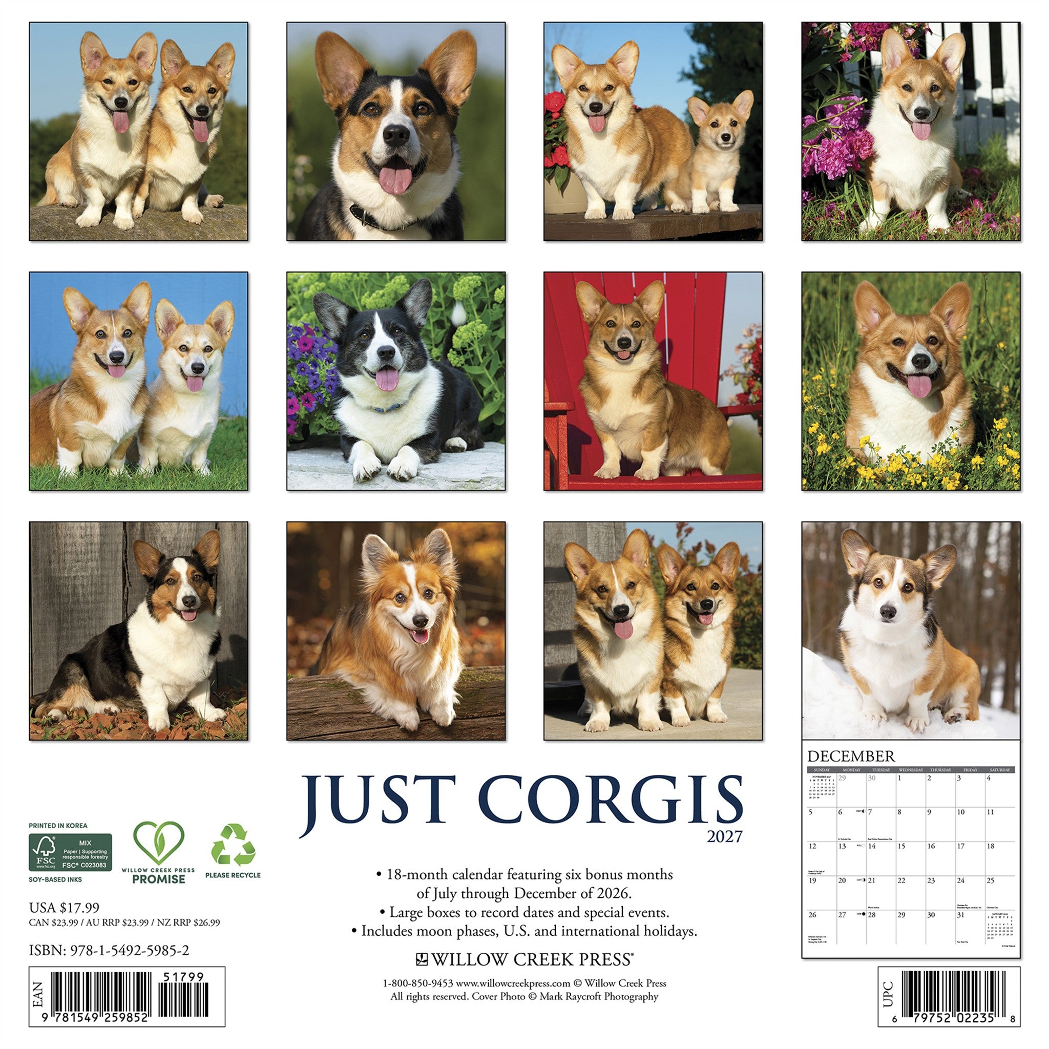 Corgis 2027 Wall Calendar