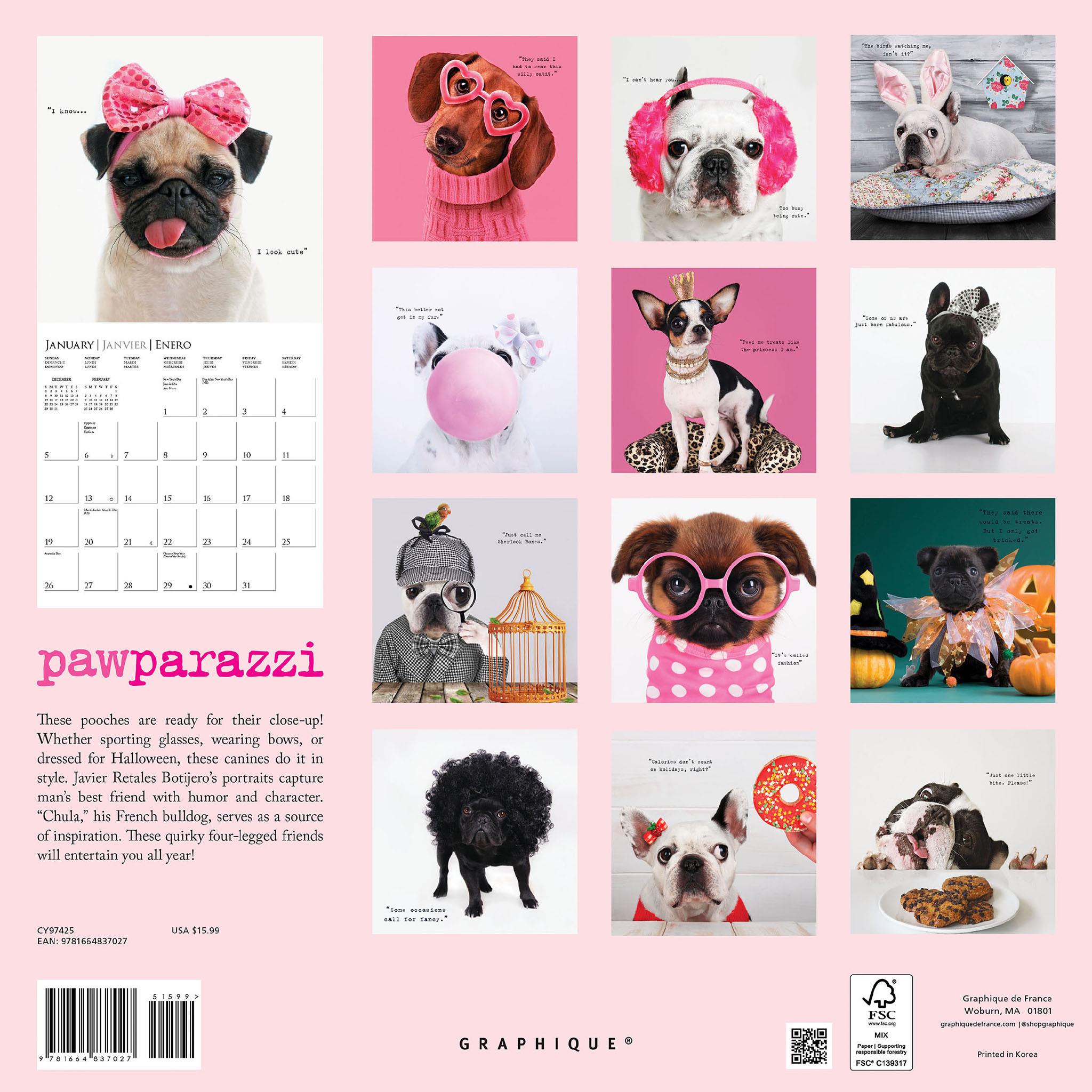 Pawparazzi Wall 2025 Calendar - Online Exclusive
