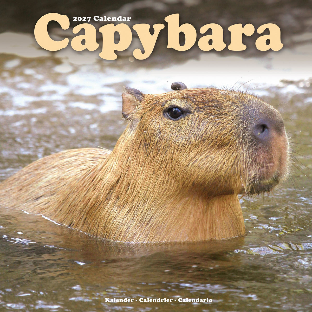 Capybara 2027 Wall Calendar
