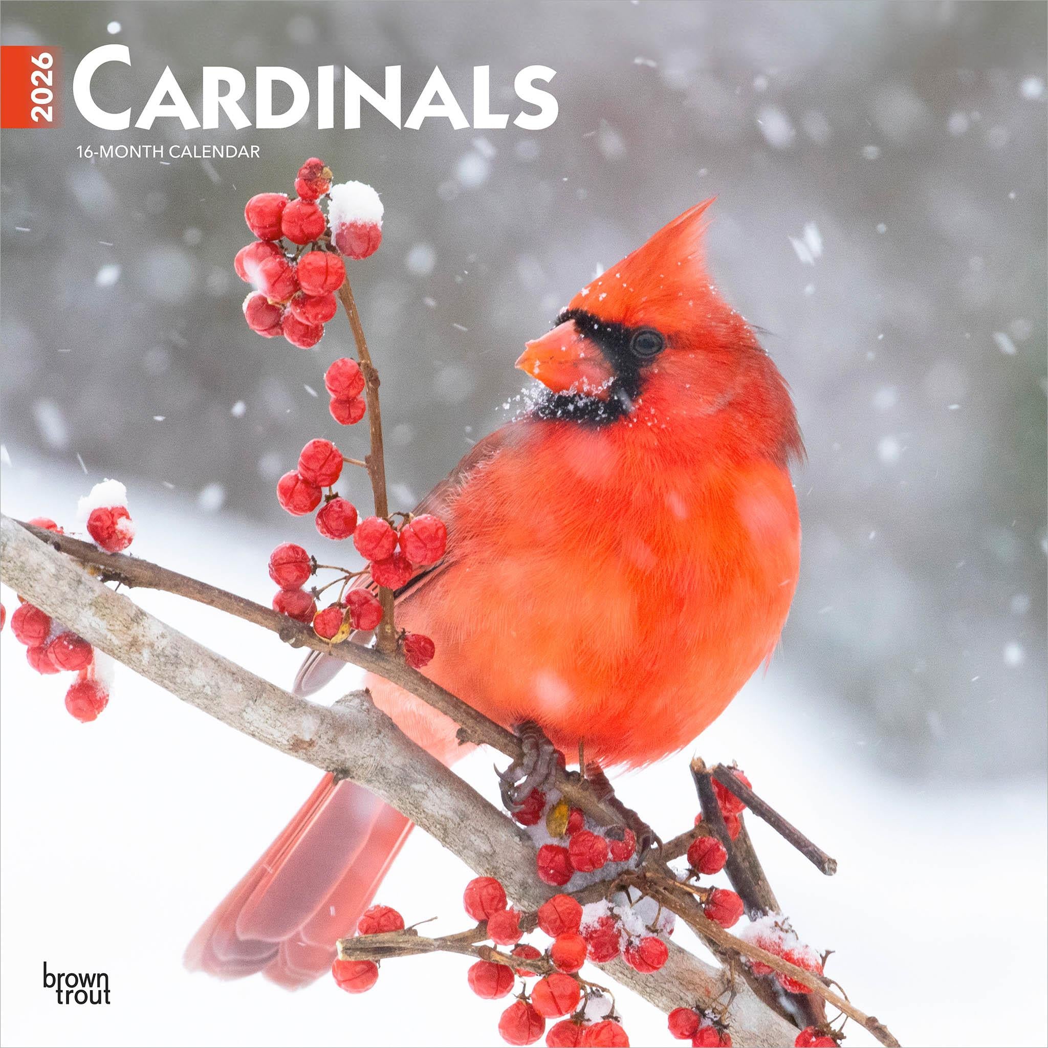 A wall calendar featuring a bright red cardinal perched on a branch with red berries, with snow falling in the background.