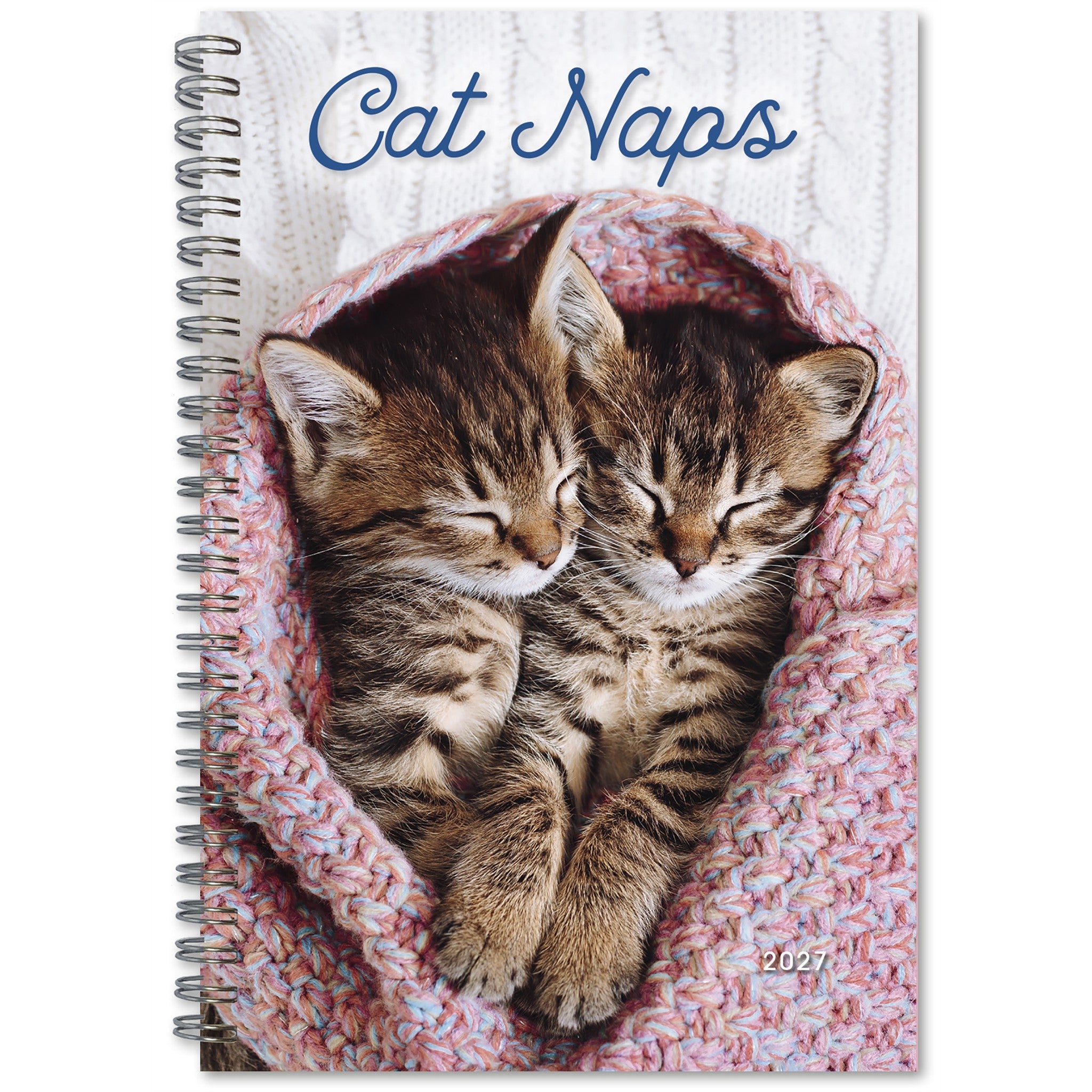 Cat Naps 2027 Engagement Calendar