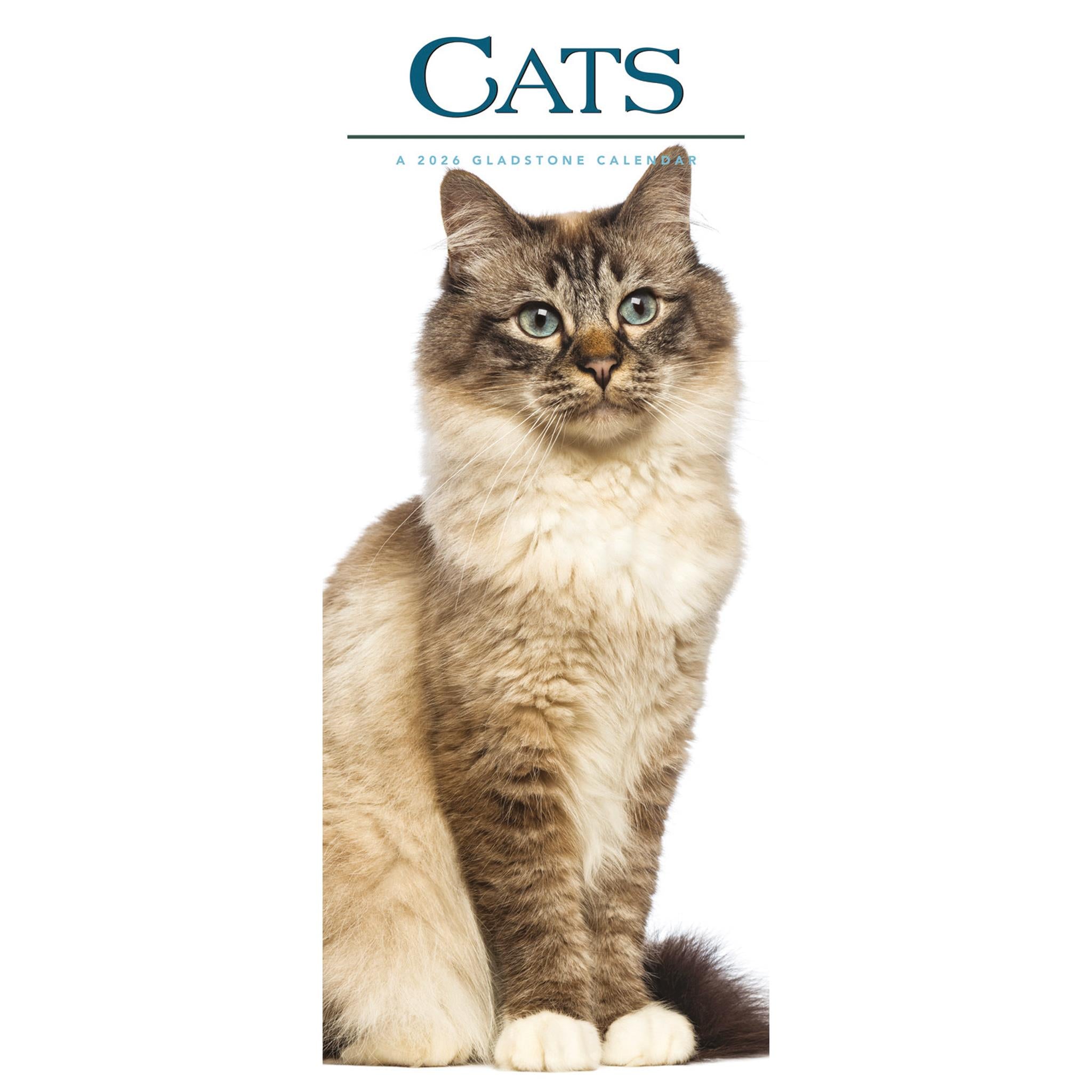 Cats 2026 Poster Calendar
