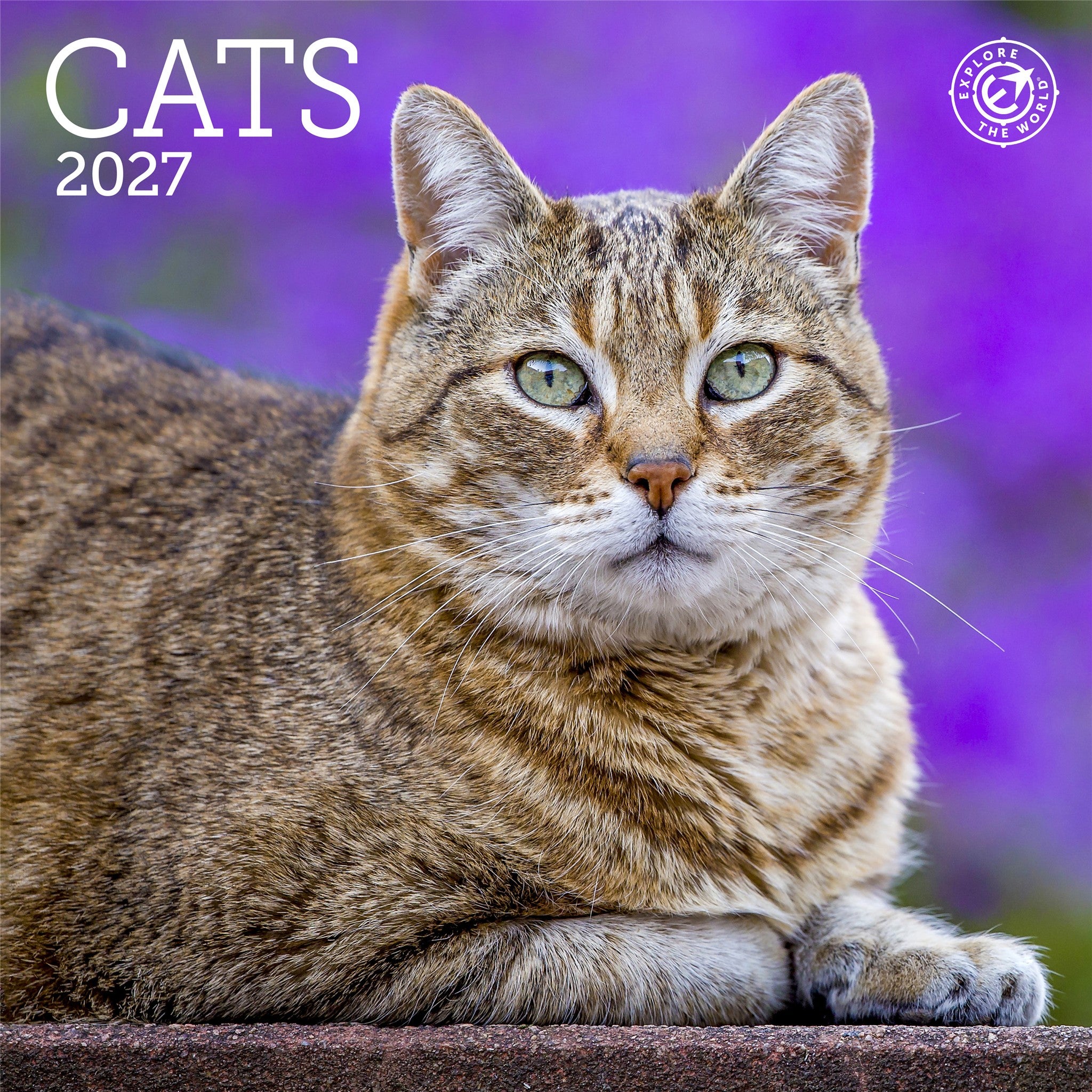 Cats 2027 Mini Calendar