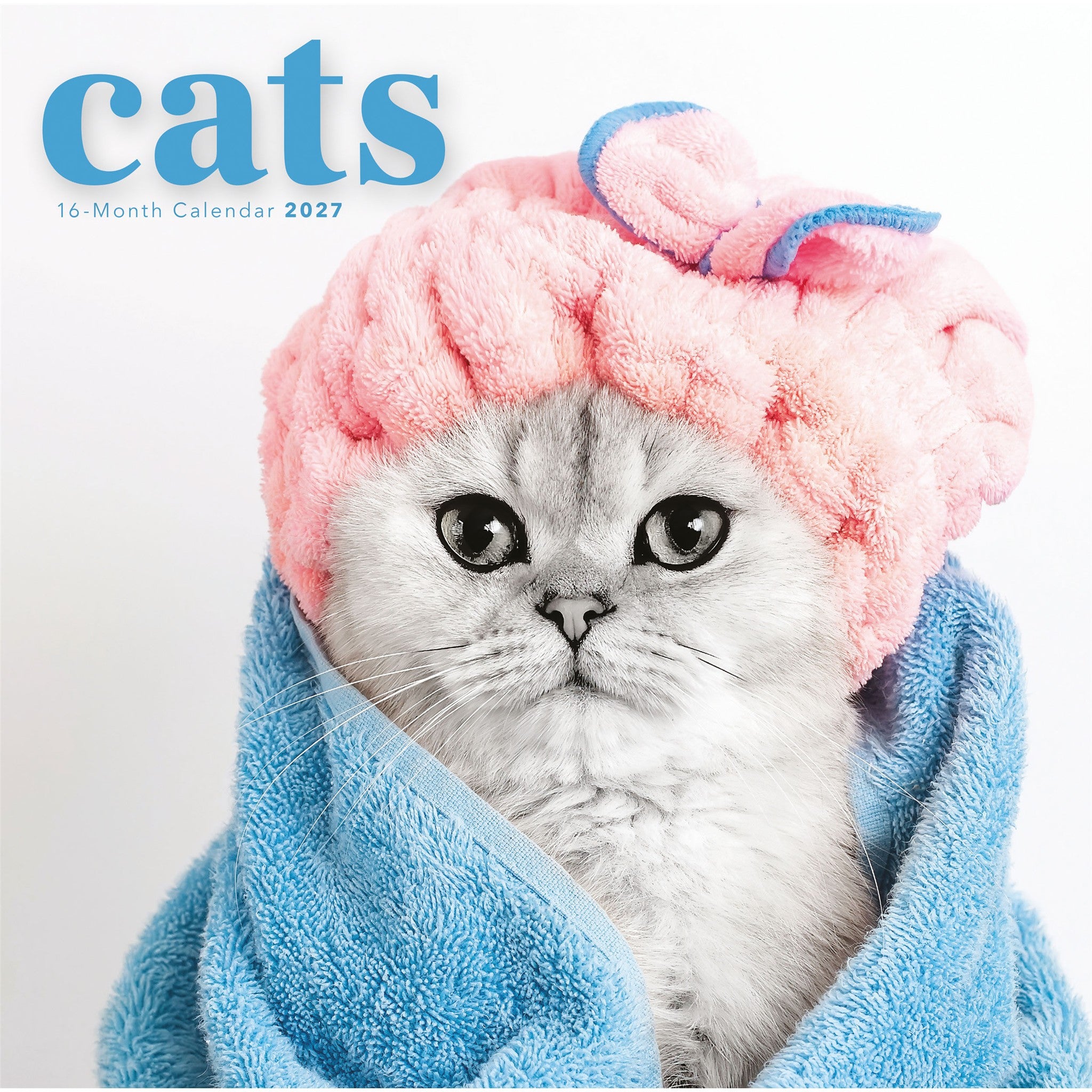Cats 2027 Wall Calendar
