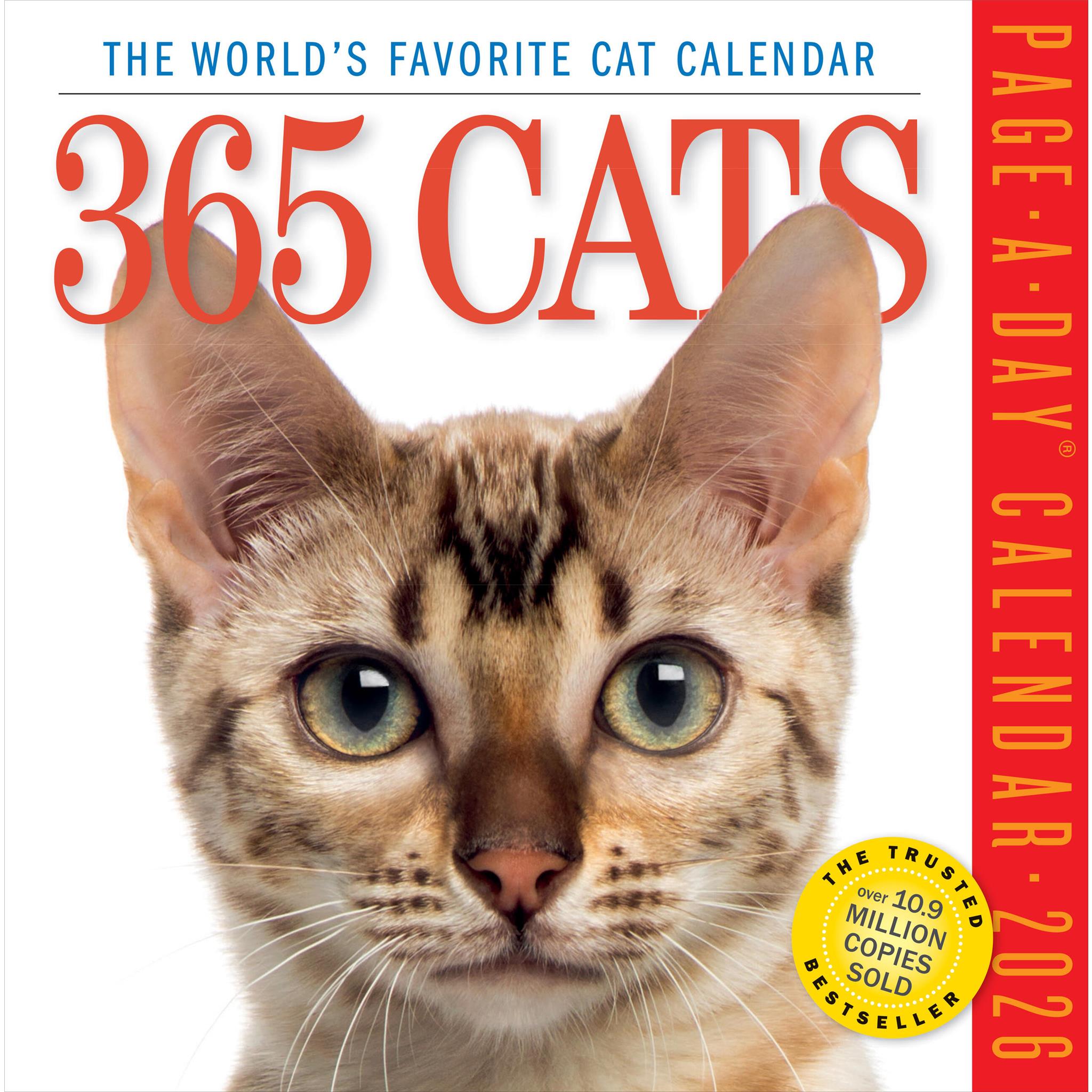 Cats 365 2026 Box Calendar cover image