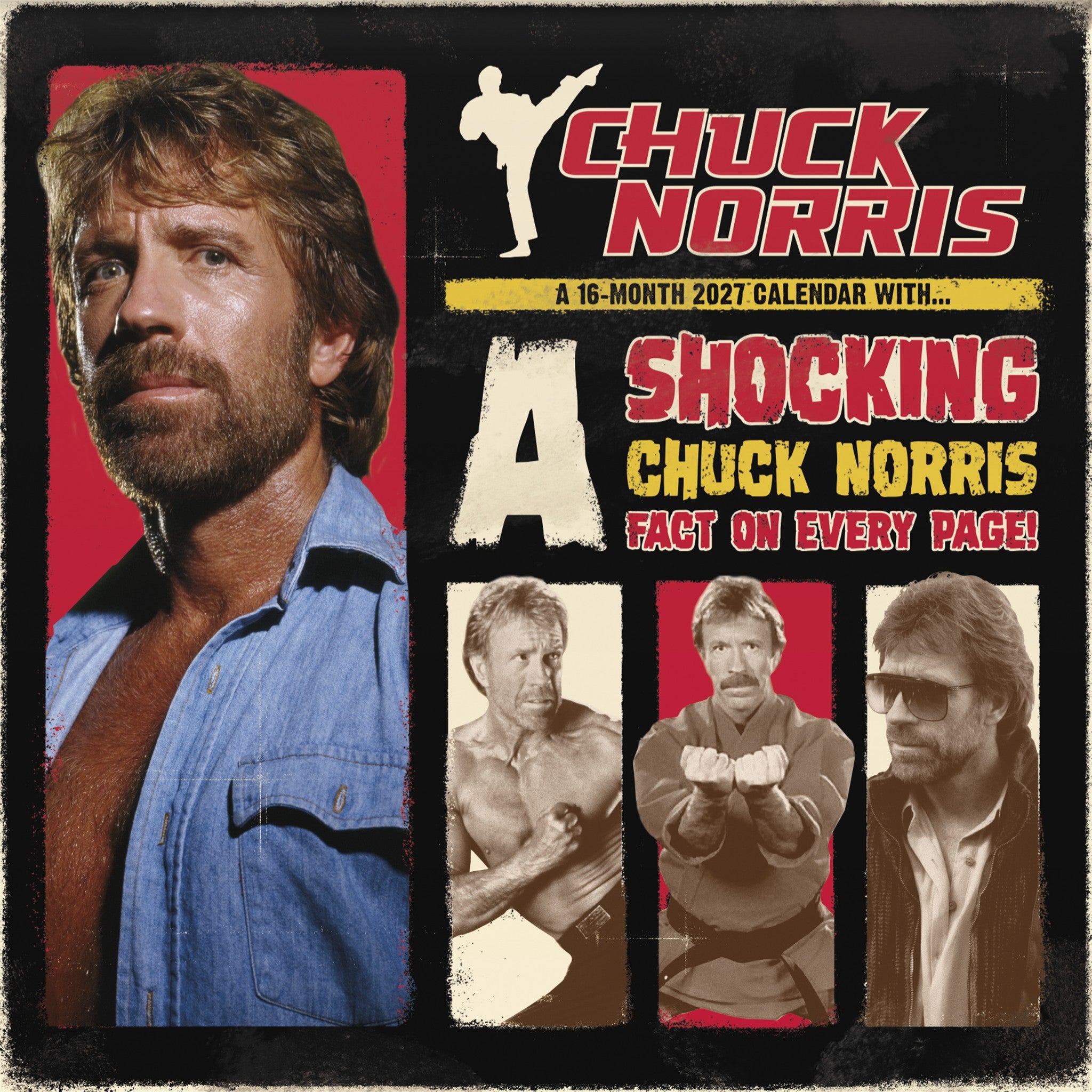 Chuck Norris 2027 Wall Calendar