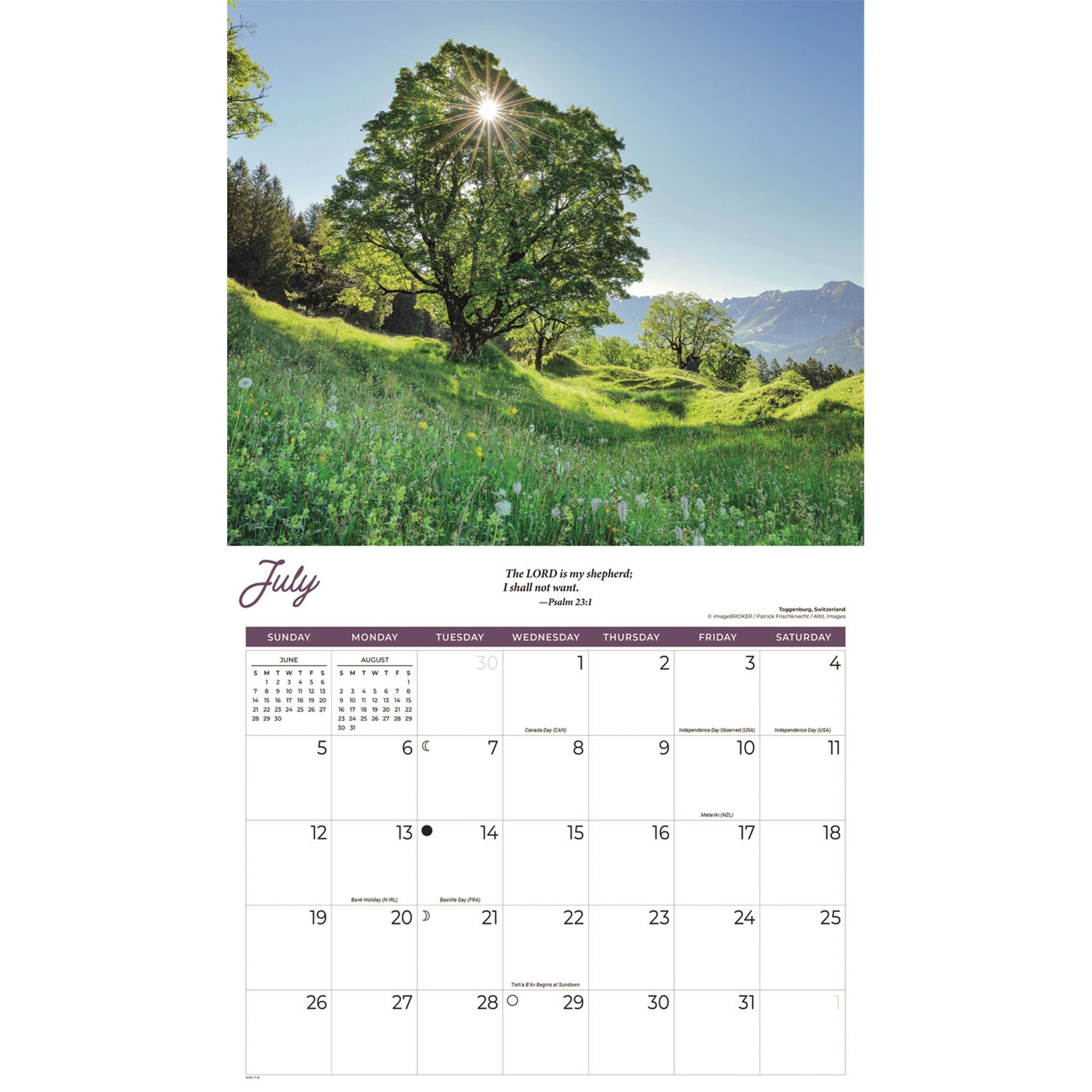 Psalms 2026 Wall Calendar