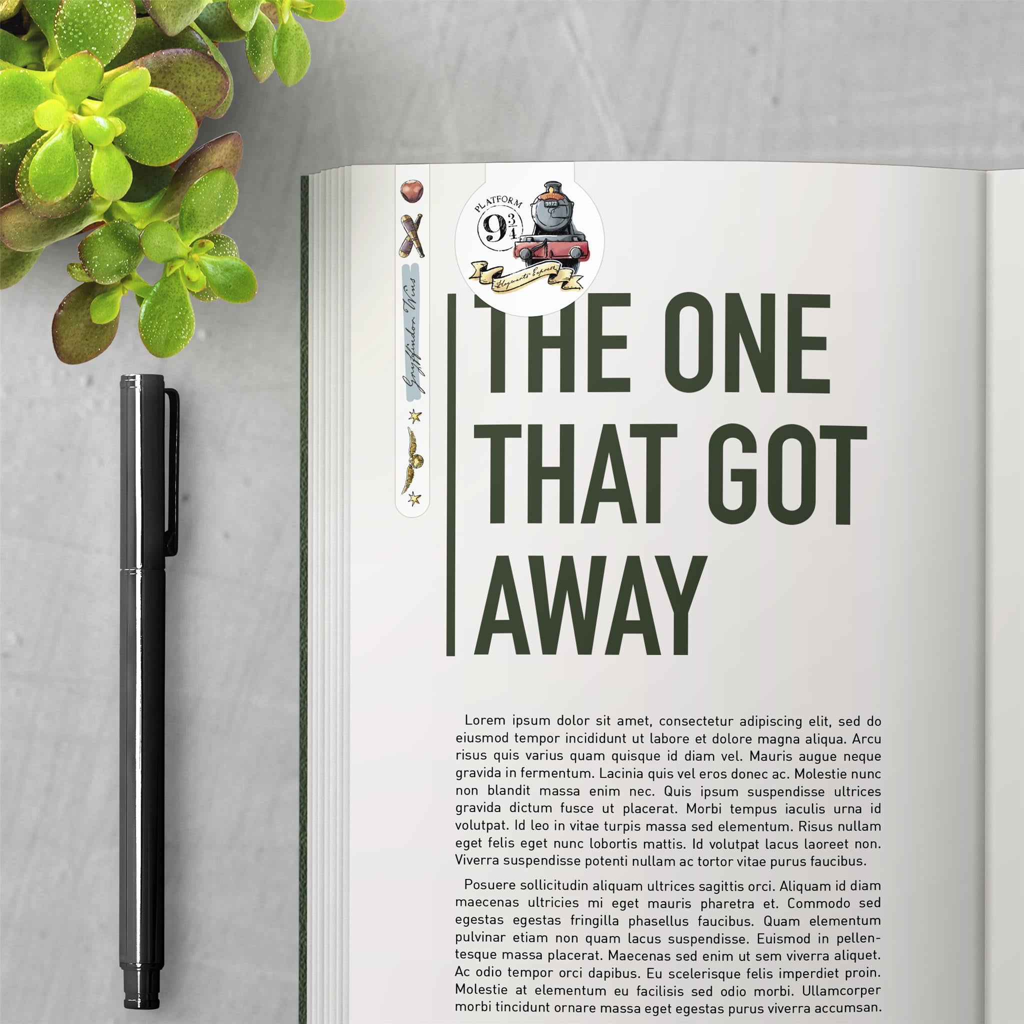 Harry Potter Page Clips by Trends International 9781438880990