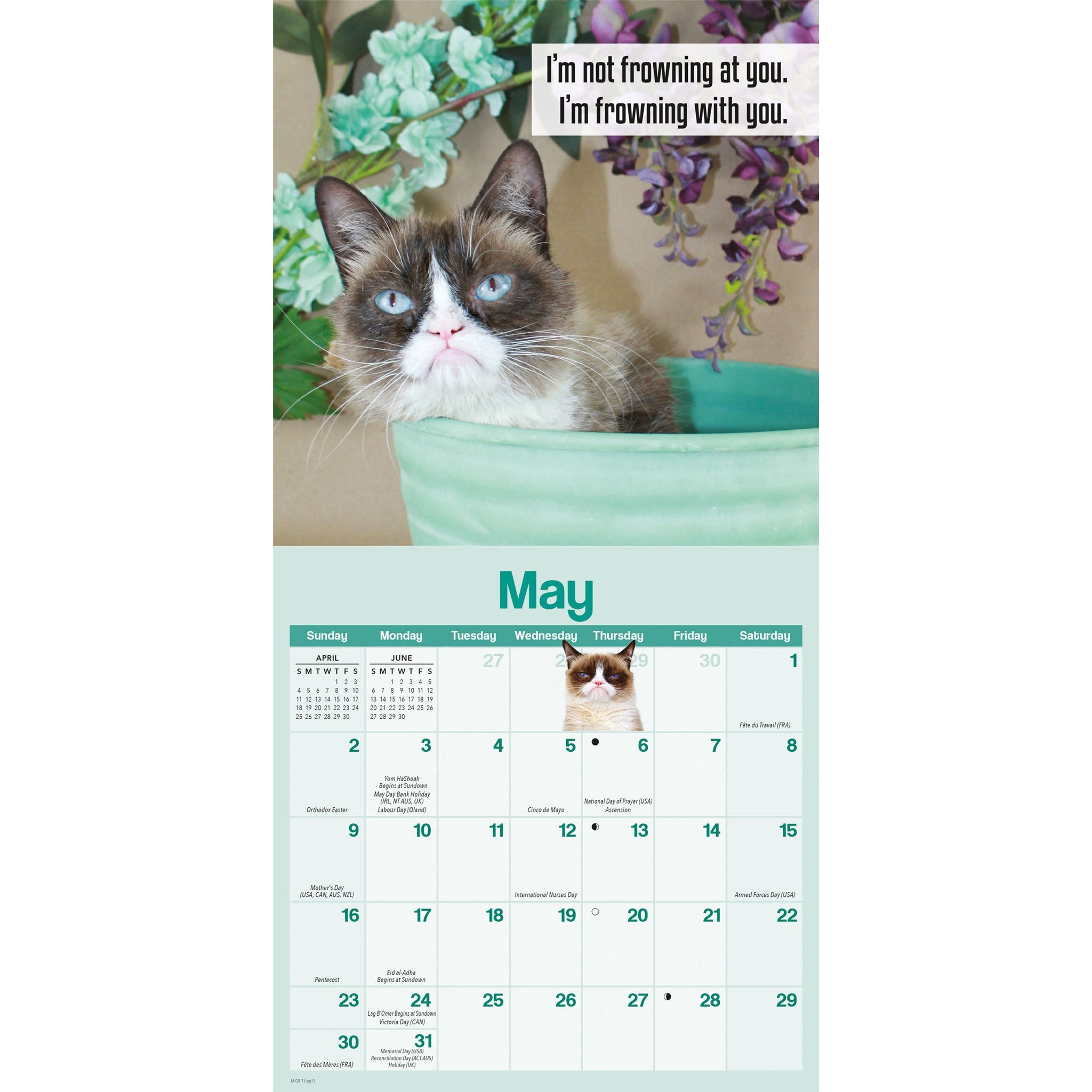 Grumpy Cat 2027 Mini Calendar