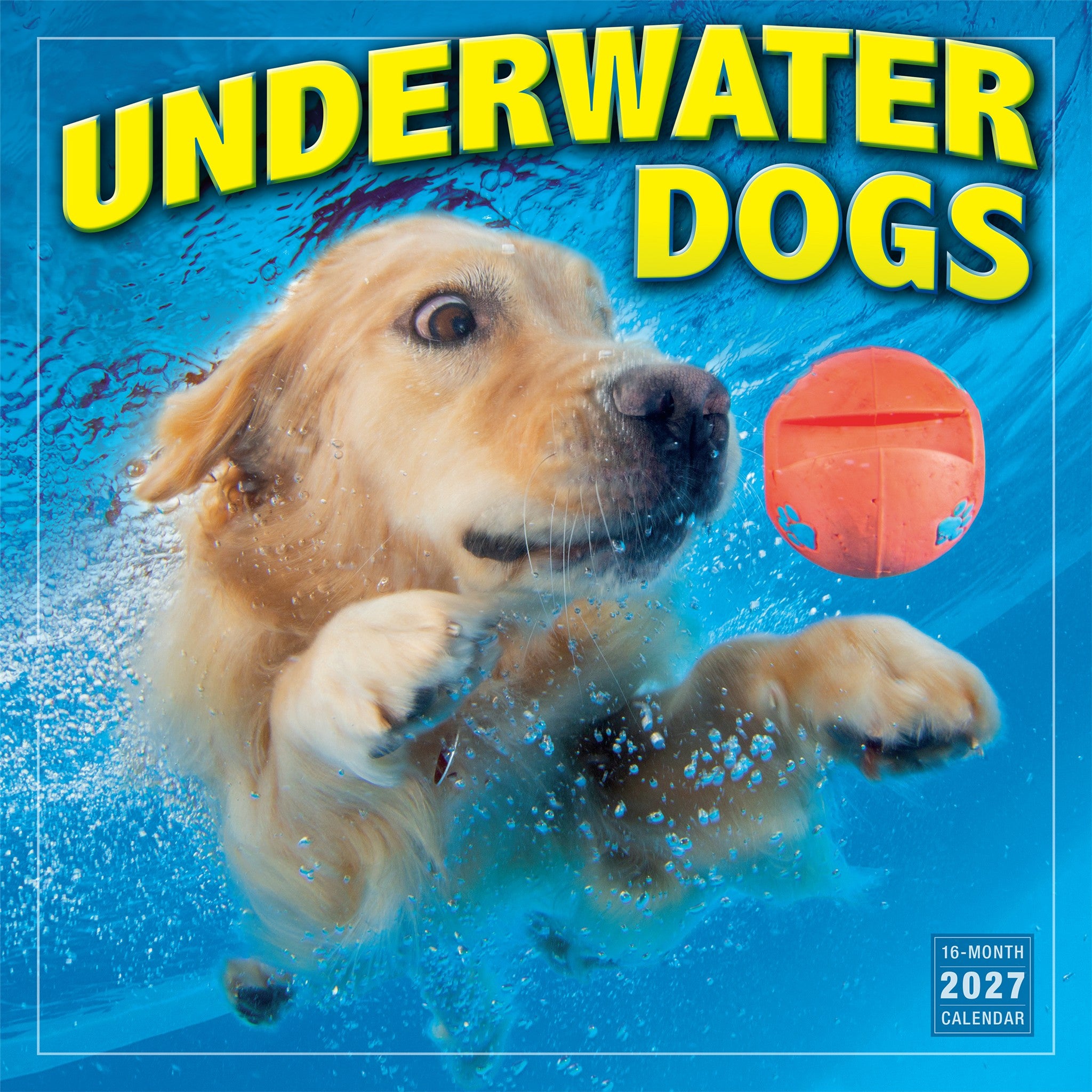 Underwater Dogs 2027 Wall Calendar
