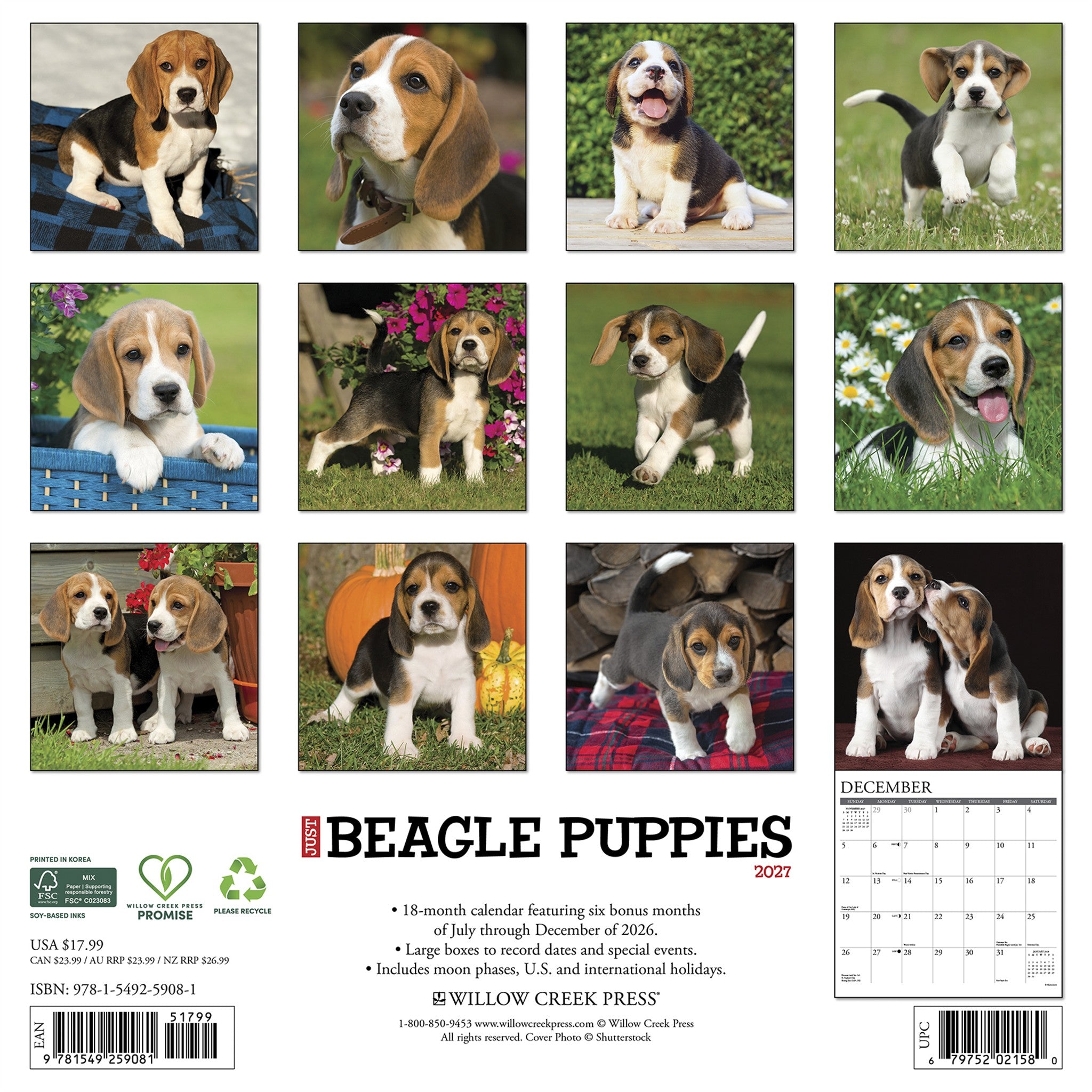 Beagle Puppies 2027 Wall Calendar