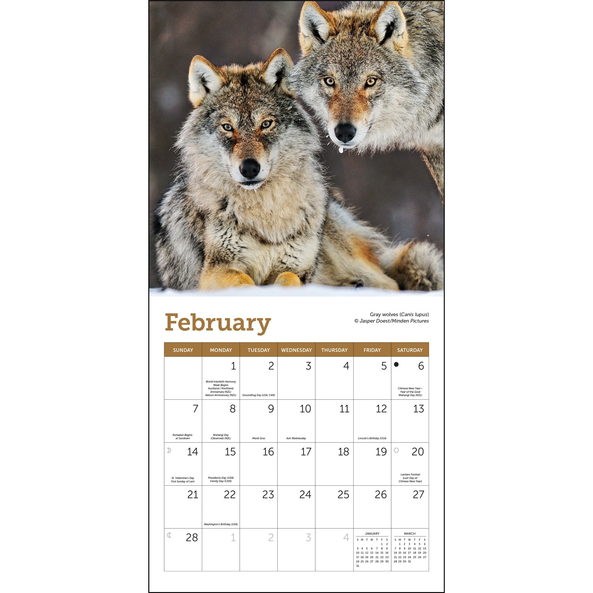 Wolves 2027 Mini Calendar