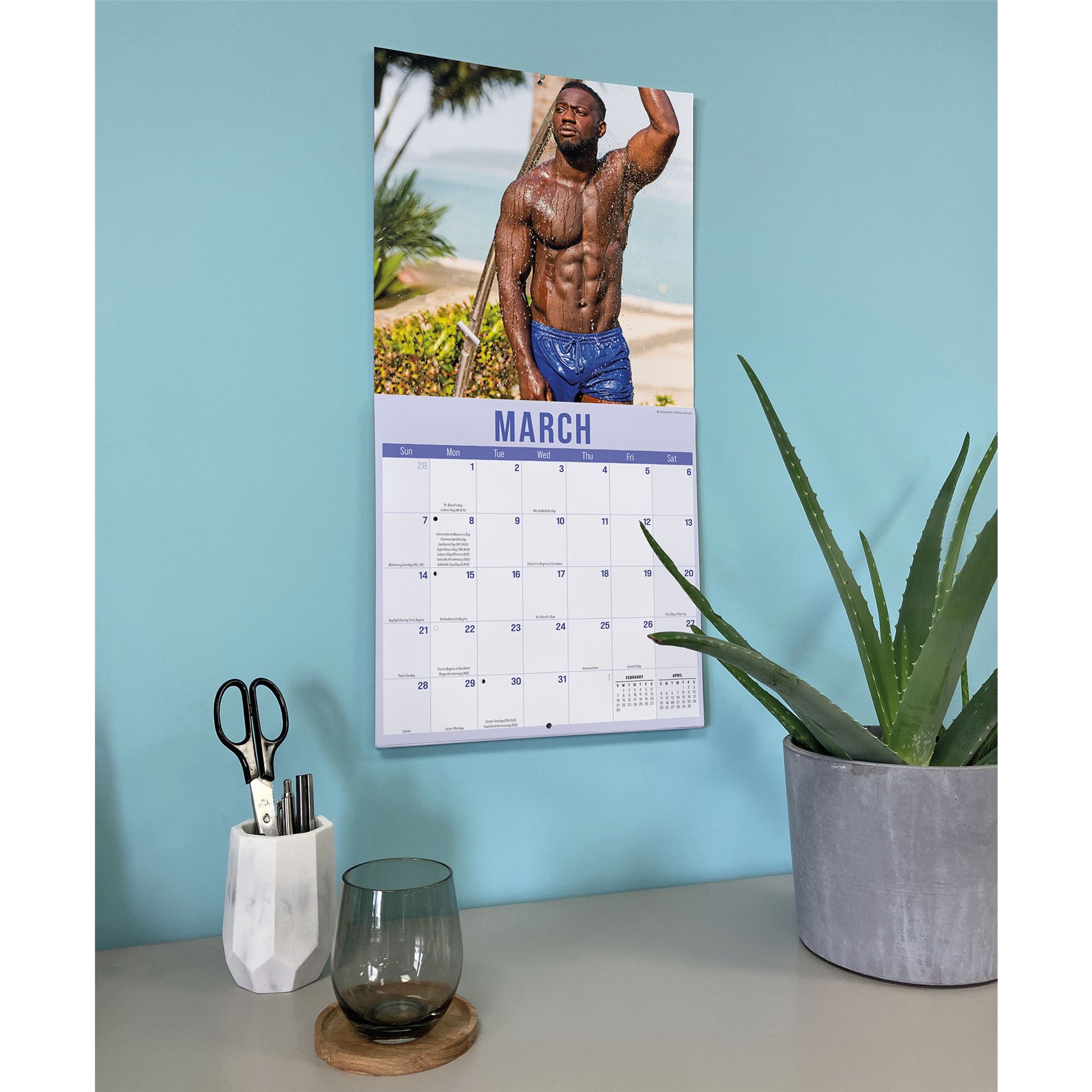 Hunks in Trunks 2027 Wall Calendar