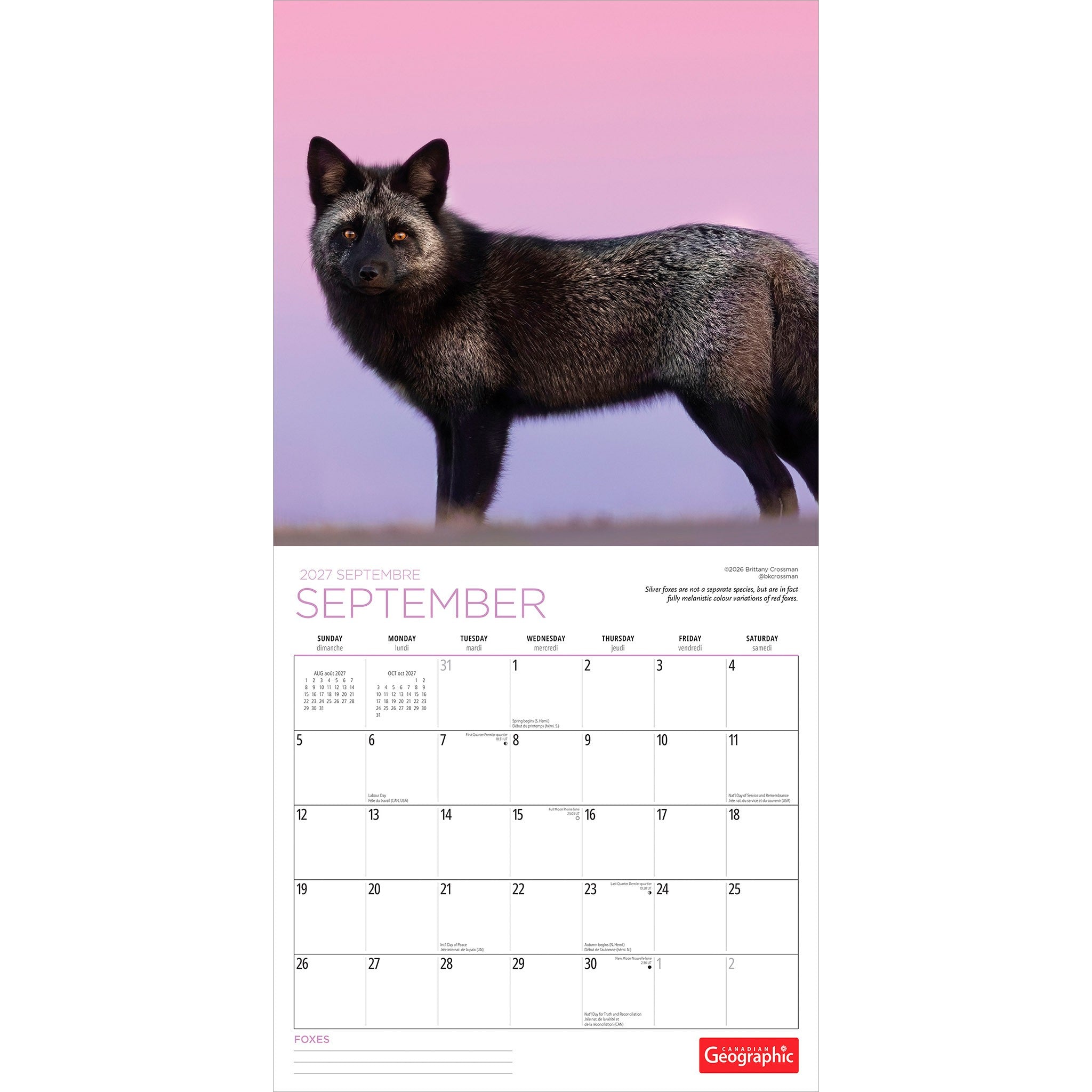 Canadian Geographic Foxes 2027 Wall Calendar - Online Only