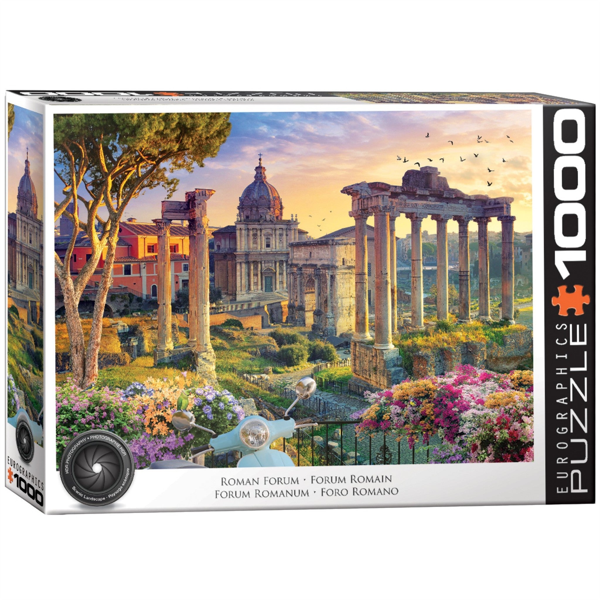 Rome, Italy 1000 Piece Puzzle