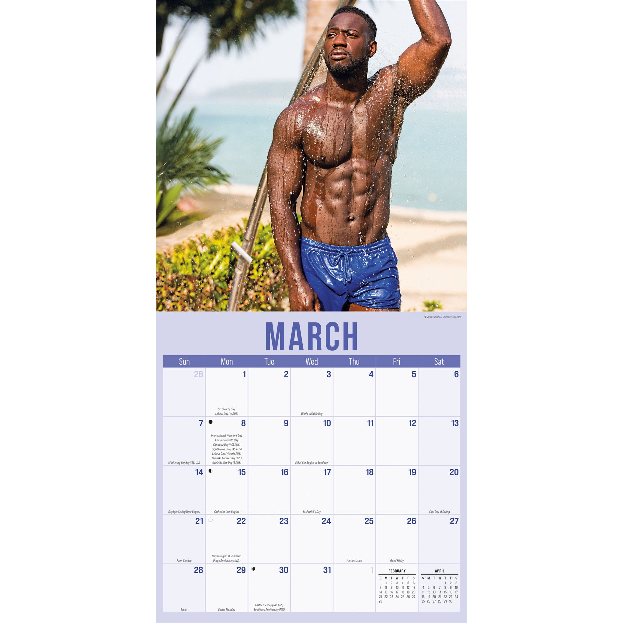 Hunks in Trunks 2027 Wall Calendar