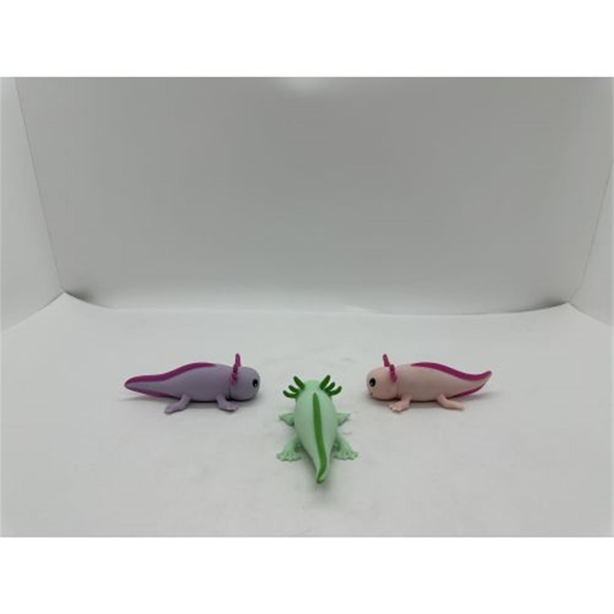 Stretchy Axolotl w/Display