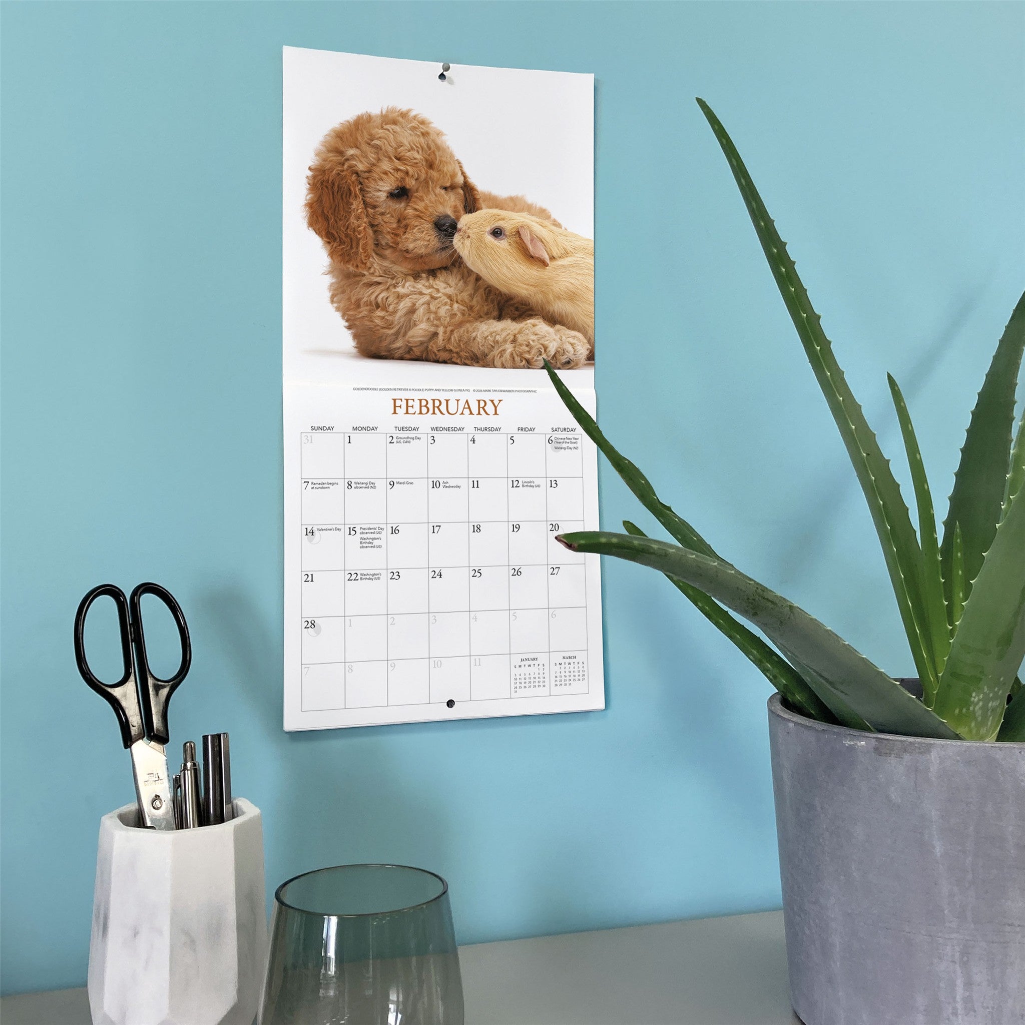 Puppies and Friends 2027 Mini Calendar