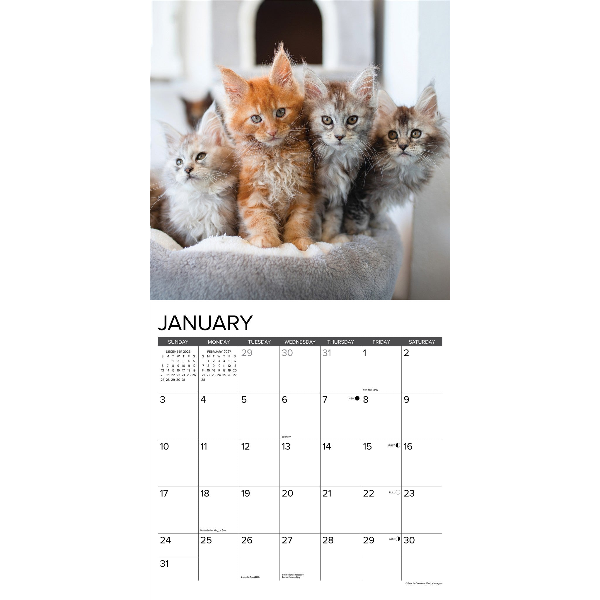 Maine Coon Kittens 2027 Wall Calendar