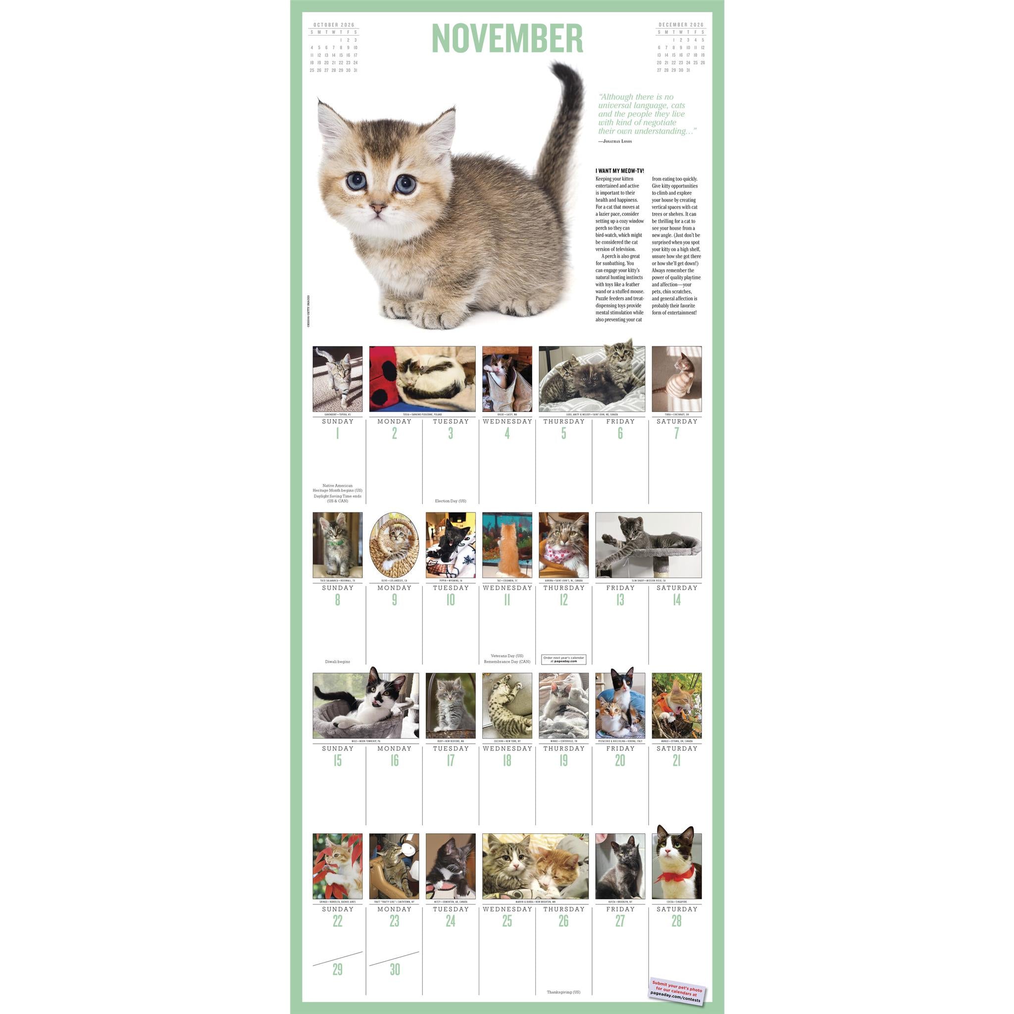 Kittens 365 2026 Wall Calendar