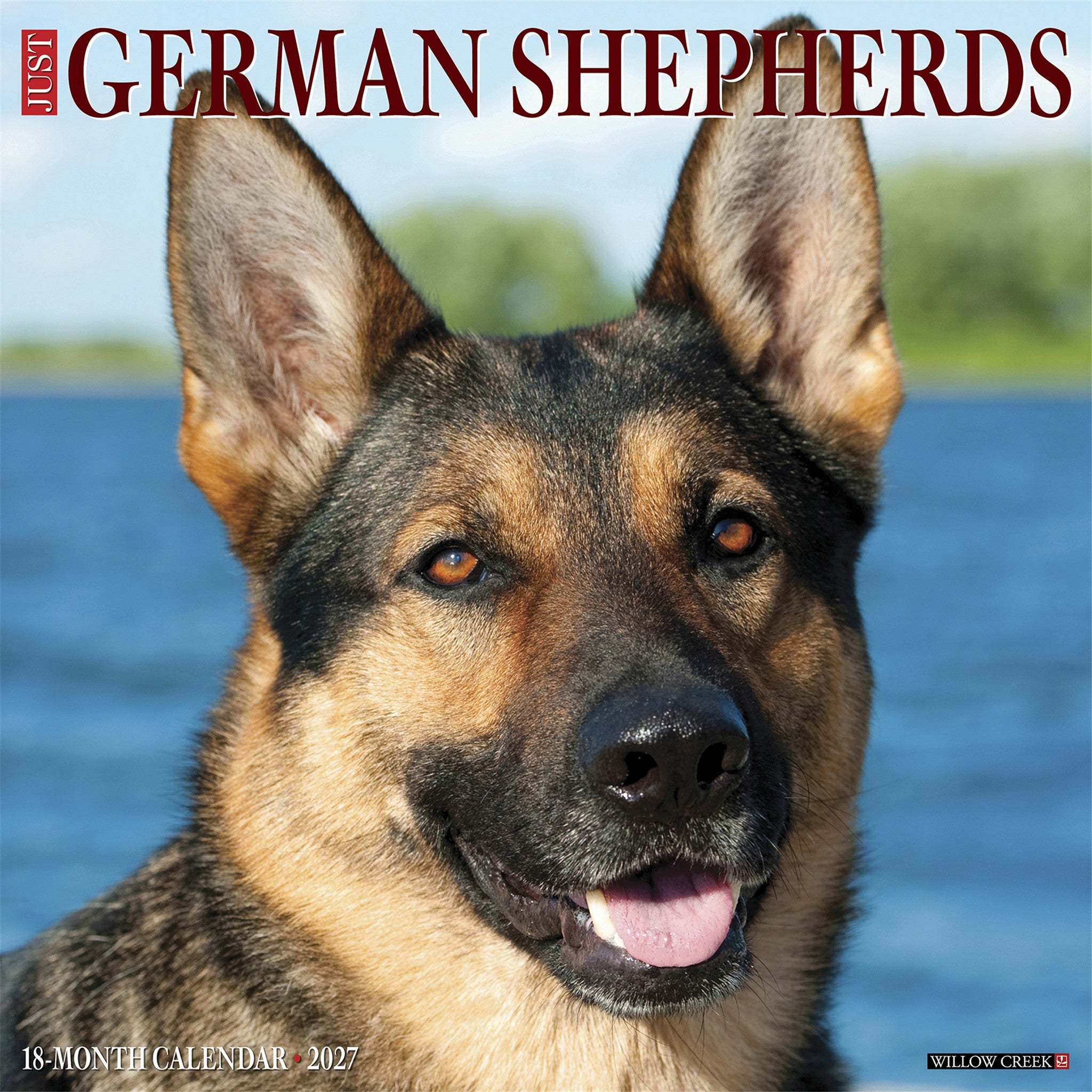 German Shepherds 2027 Wall Calendar