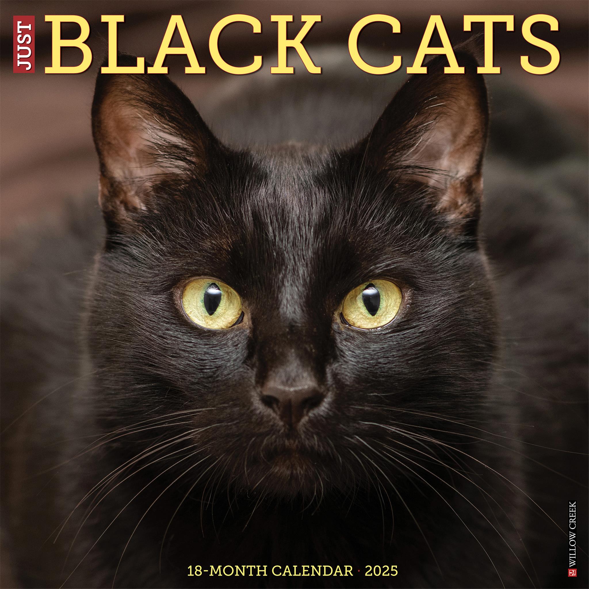 Mankind Advent Calendar 2025 Uk Delaney Ellis Mankind Advent Calendar 2025 Uk Delaney Ellis
