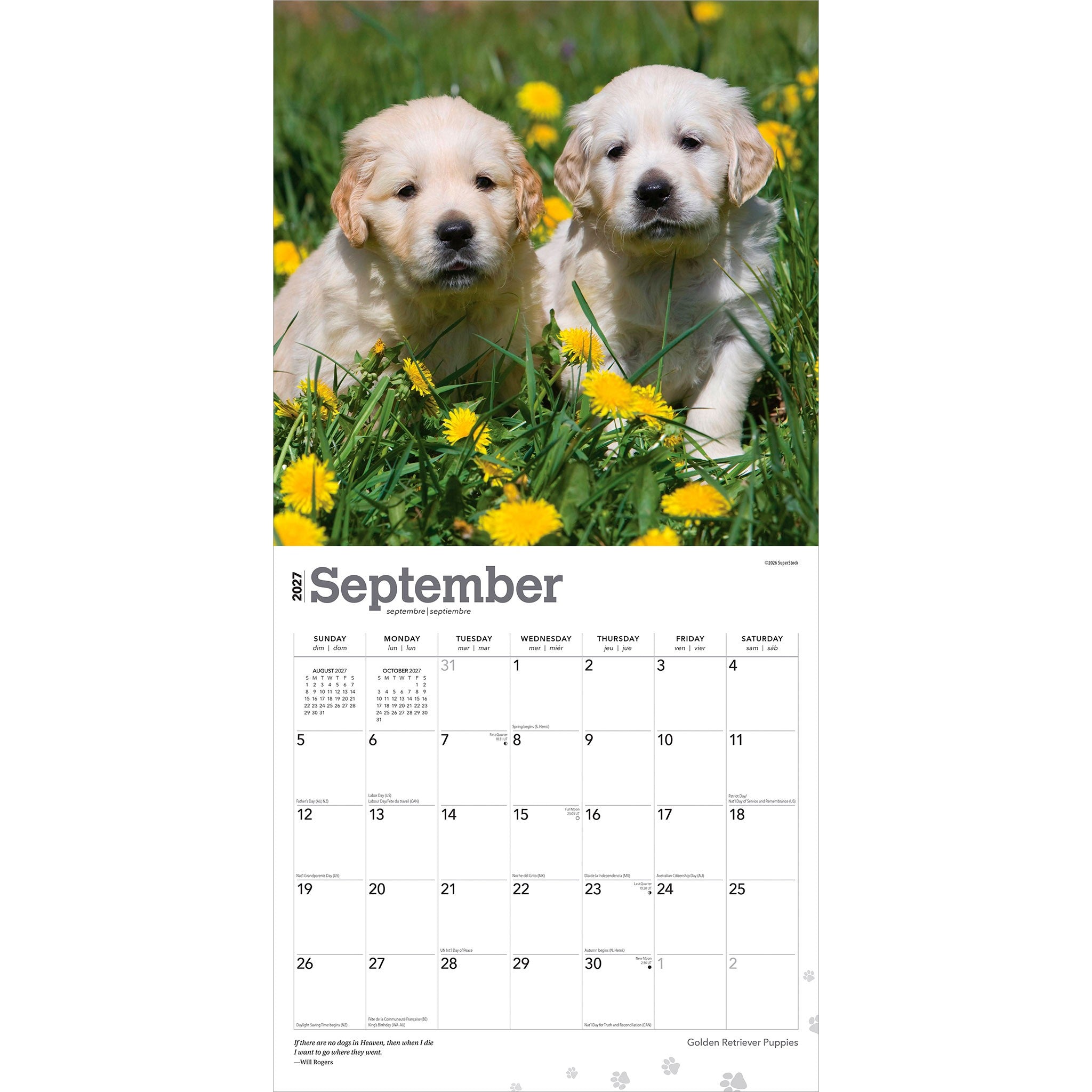 Golden Retriever Puppies 2027 Wall Calendar