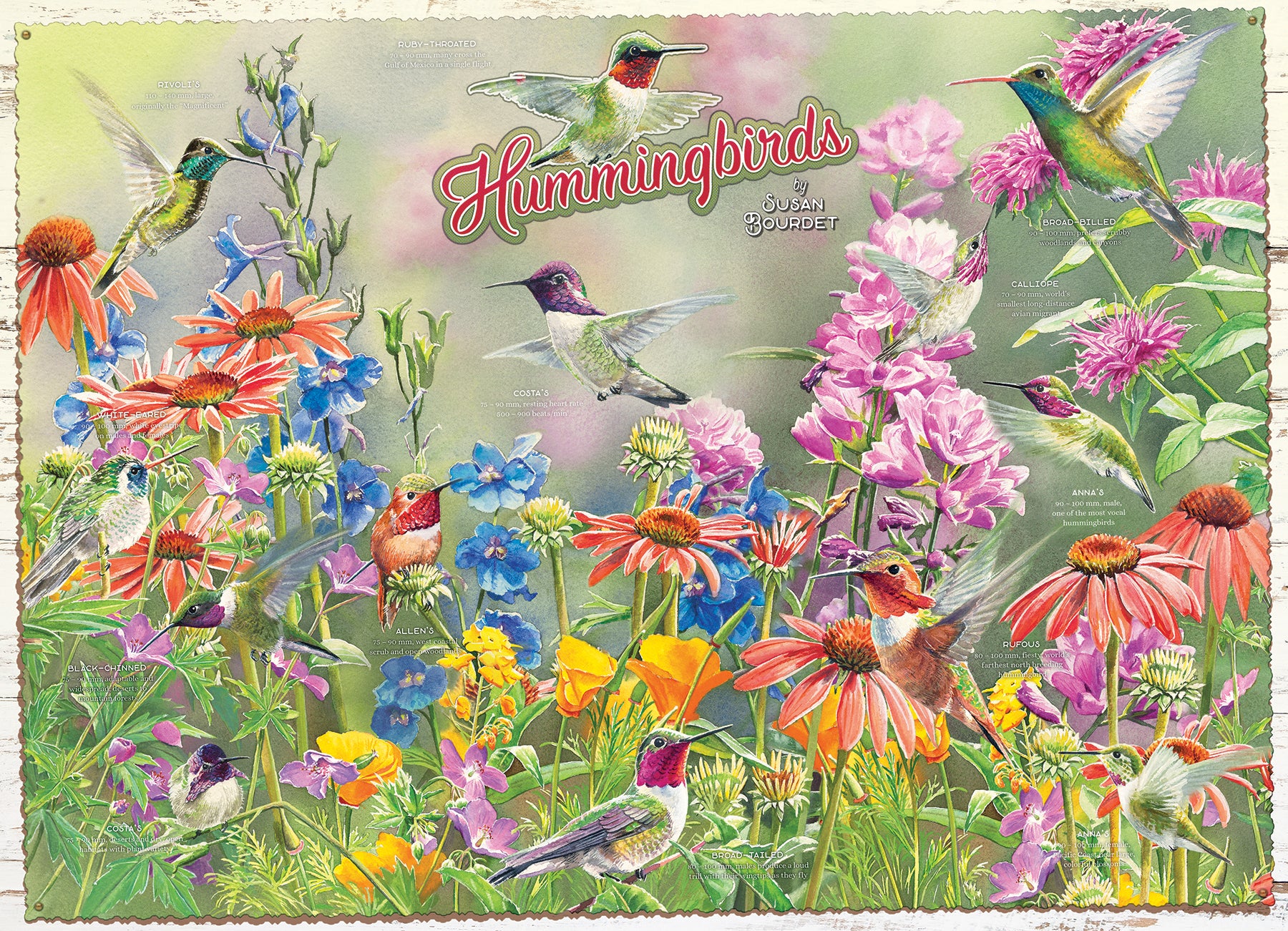 ★ HUMMING BIRDS 4点セット 625012401784 Hummingbirds 1000 Piece Puzzle Cobble Hill - Calendar
