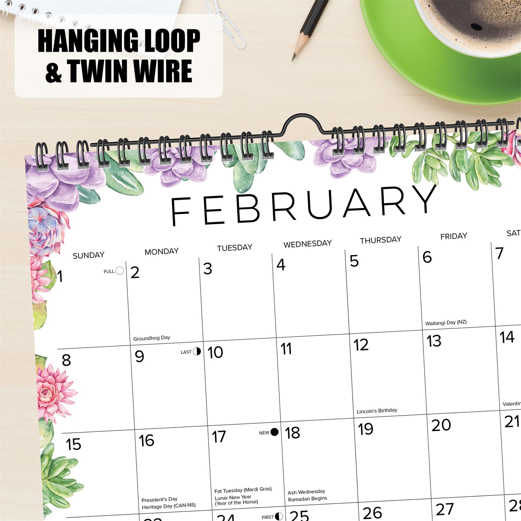 Succulents 2026 Spiral Wall Calendar