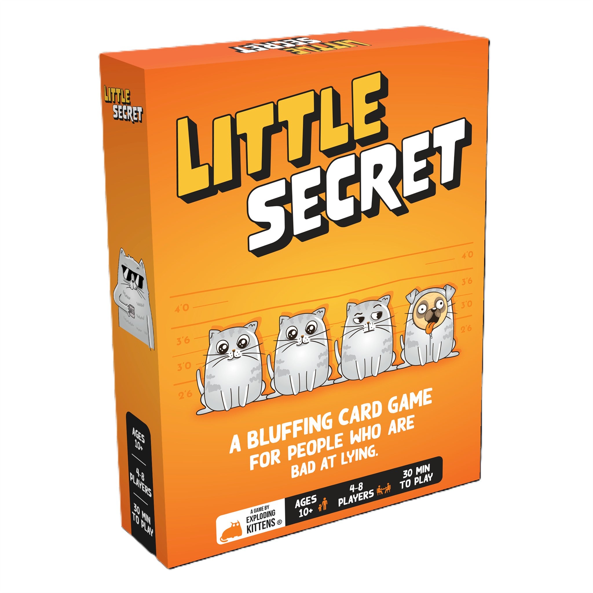 Little Secret
