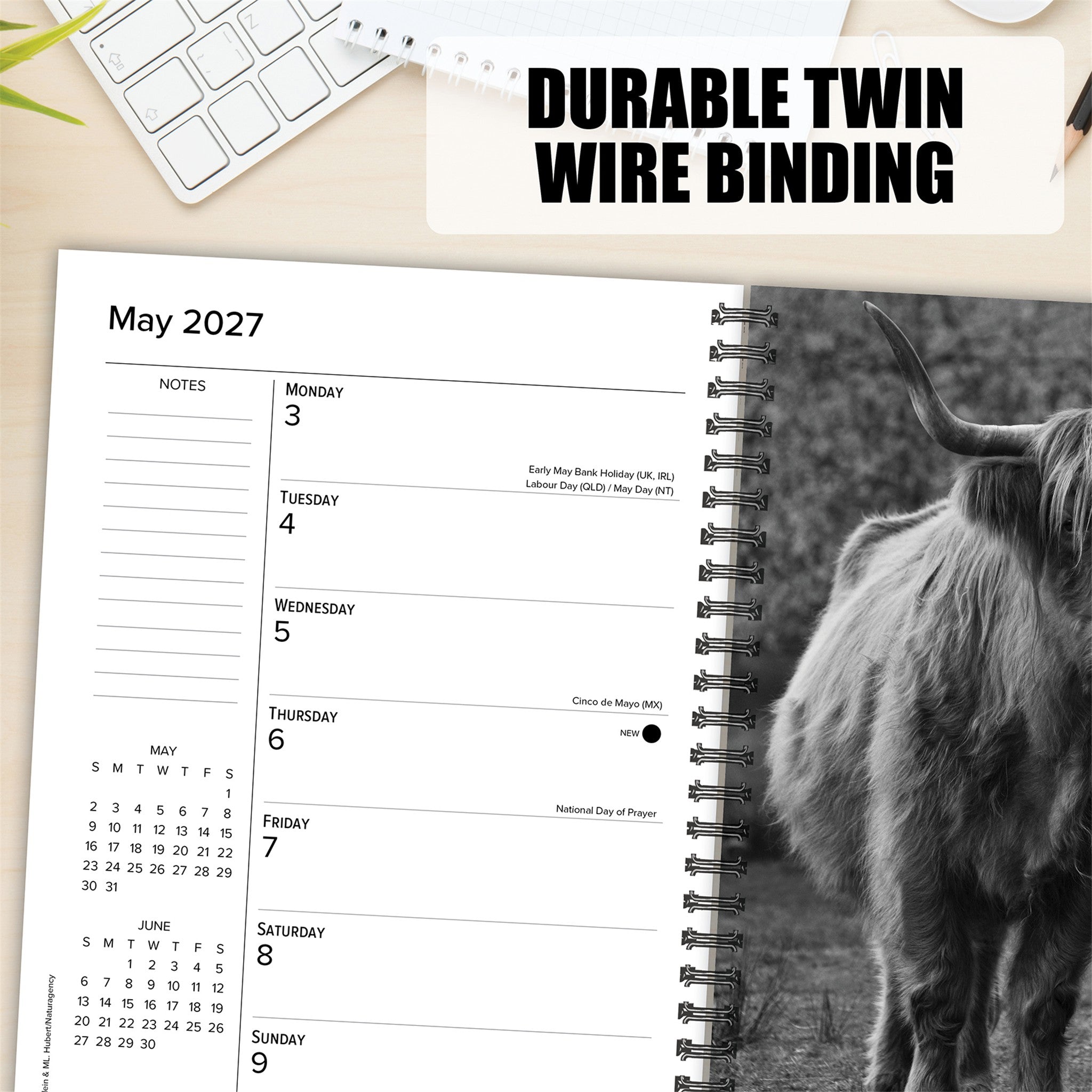 Highland Cows 2027 Engagement Calendar