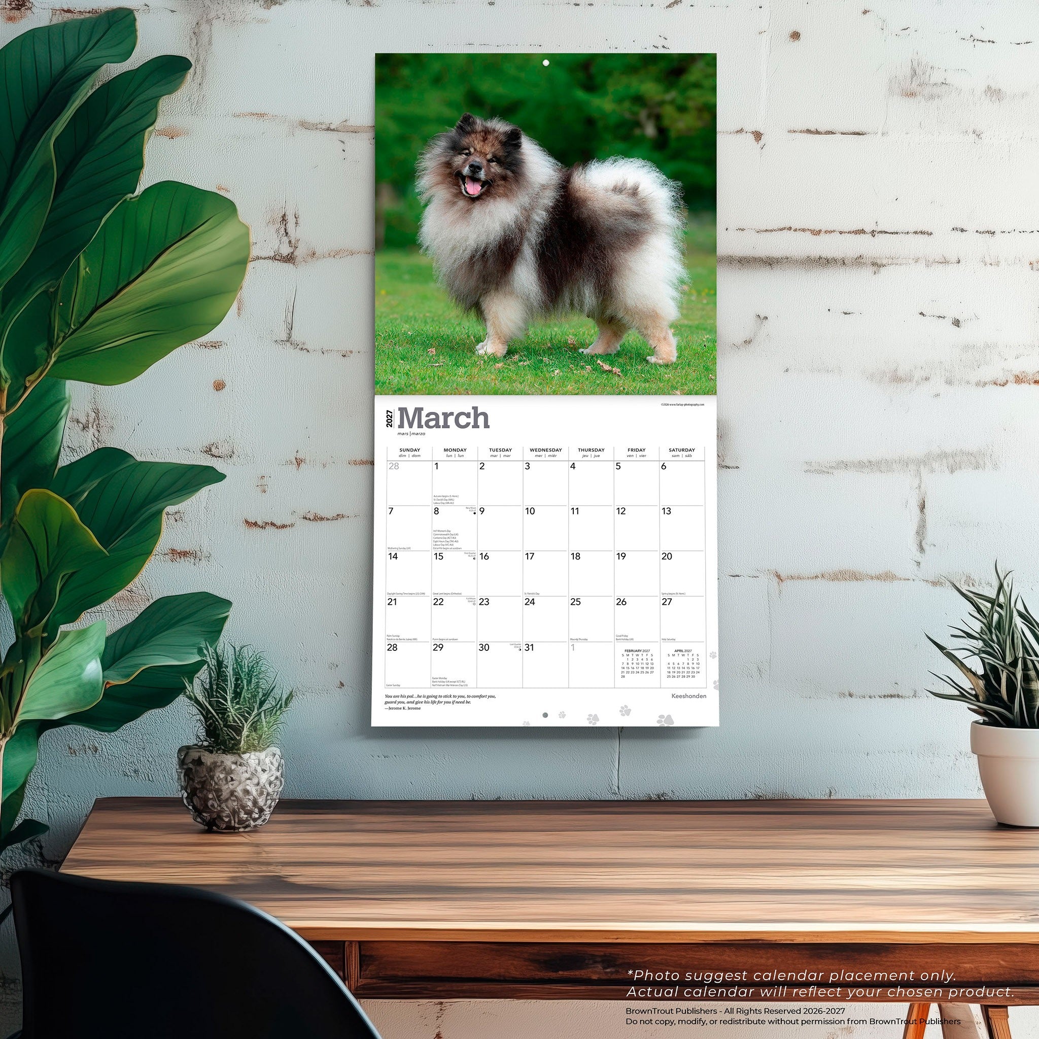 Keeshonden 2027 Wall Calendar