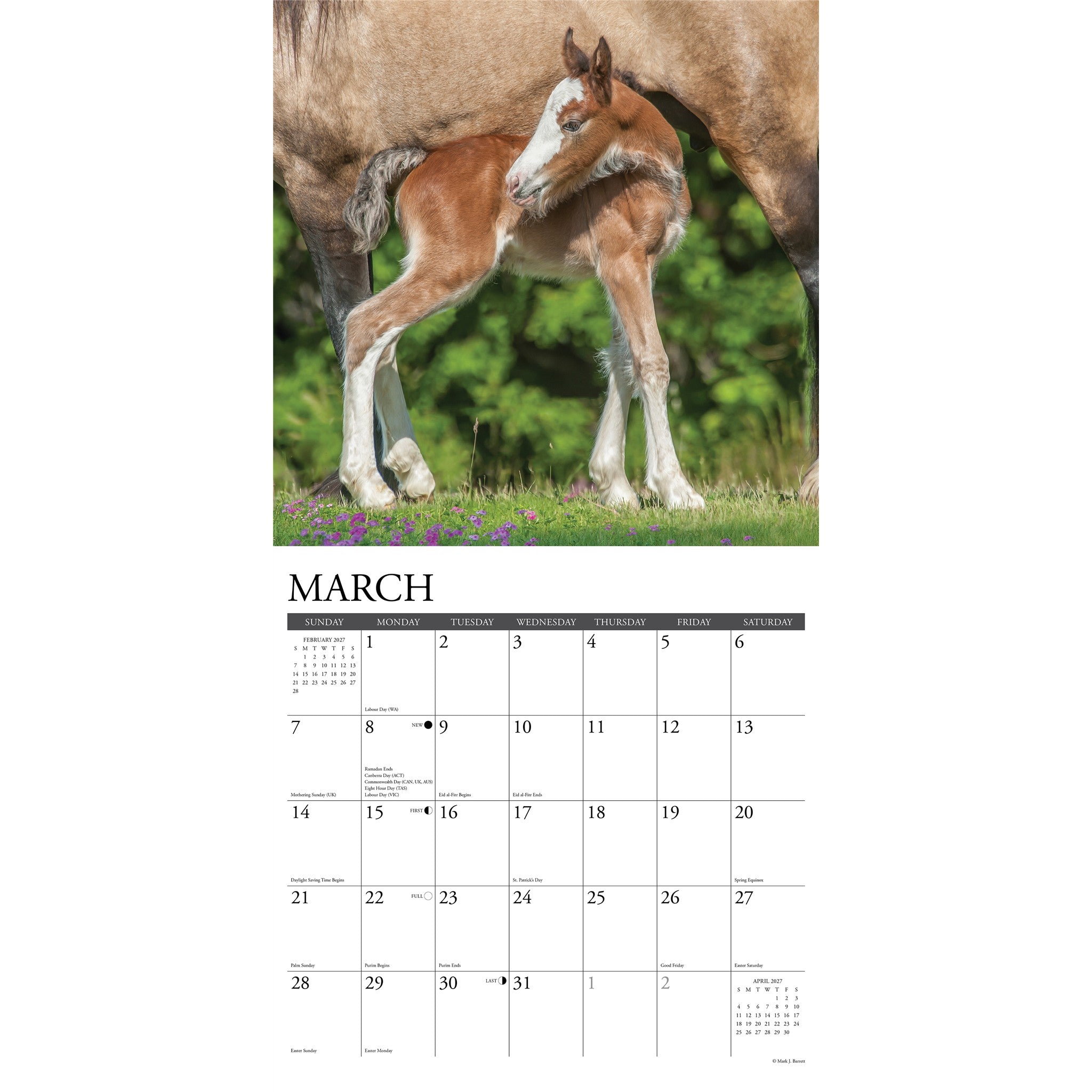 Clydesdales 2027 Wall Calendar