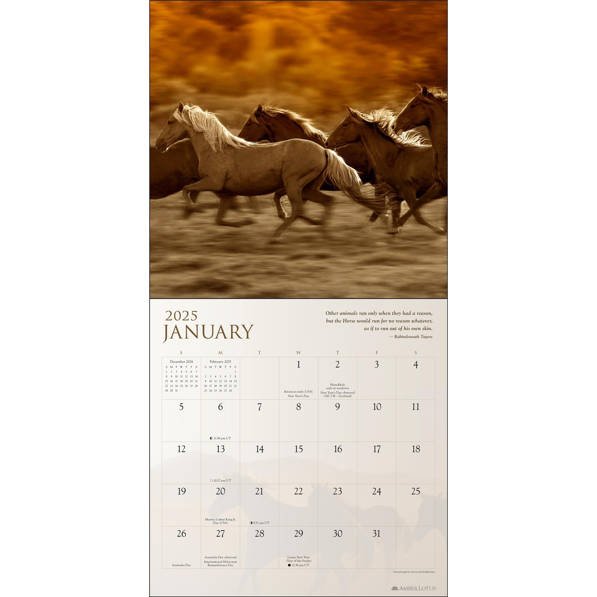 Spirit Horses Wall 2025 Calendar