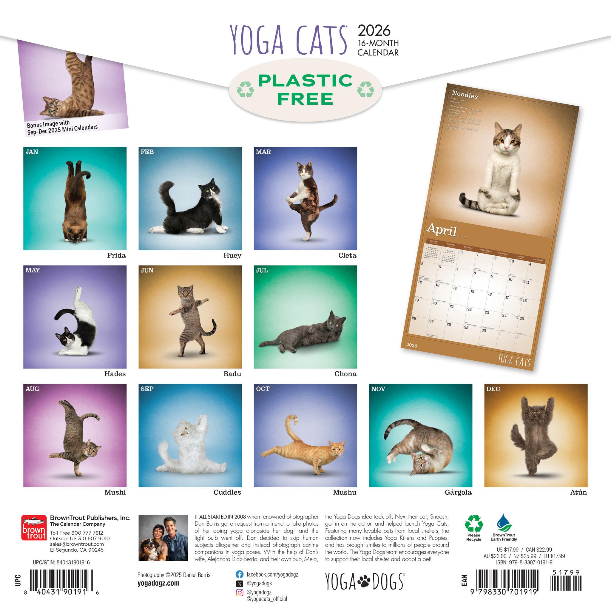 Yoga Cats 2026 Wall Calendar