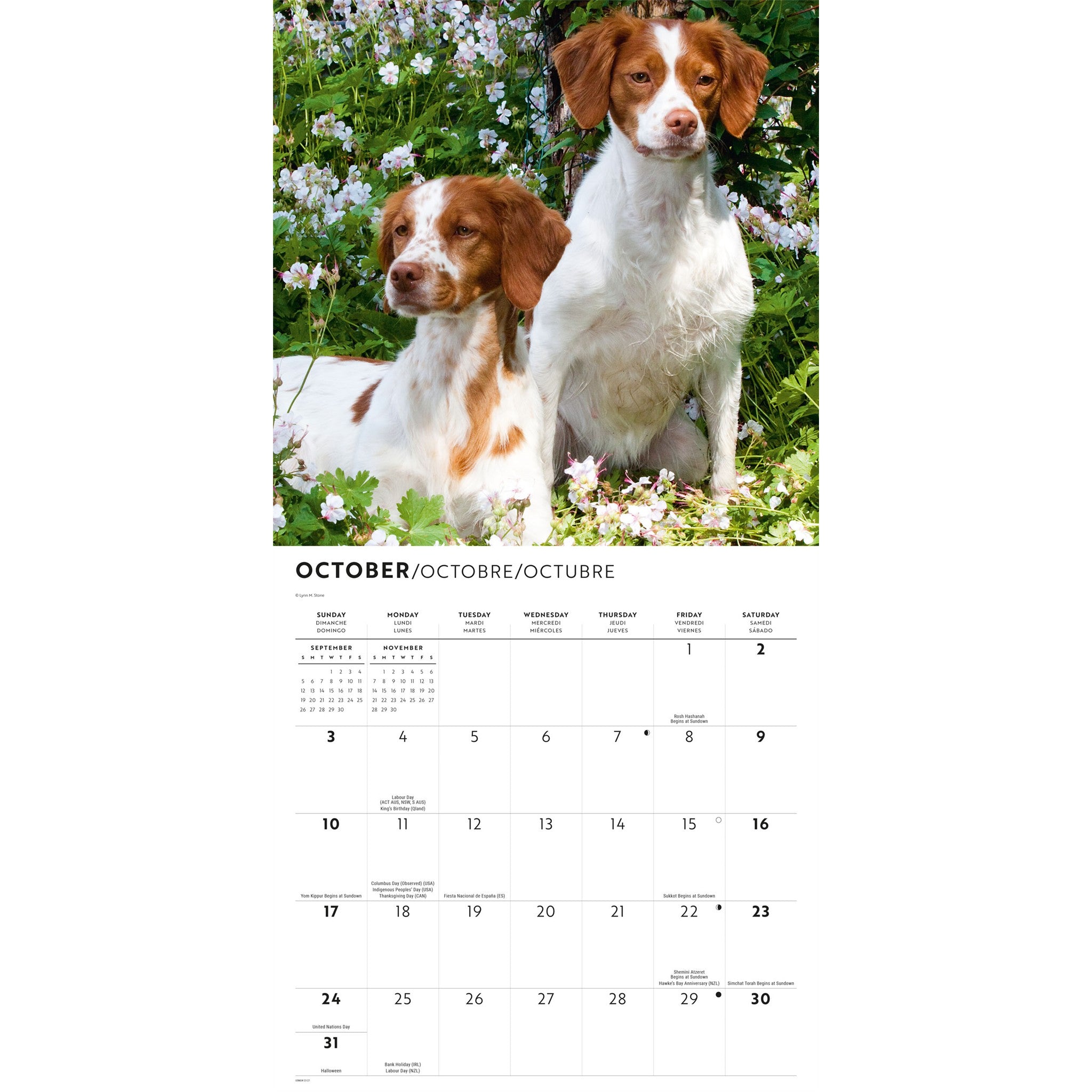 Brittanys 2027 Wall Calendar