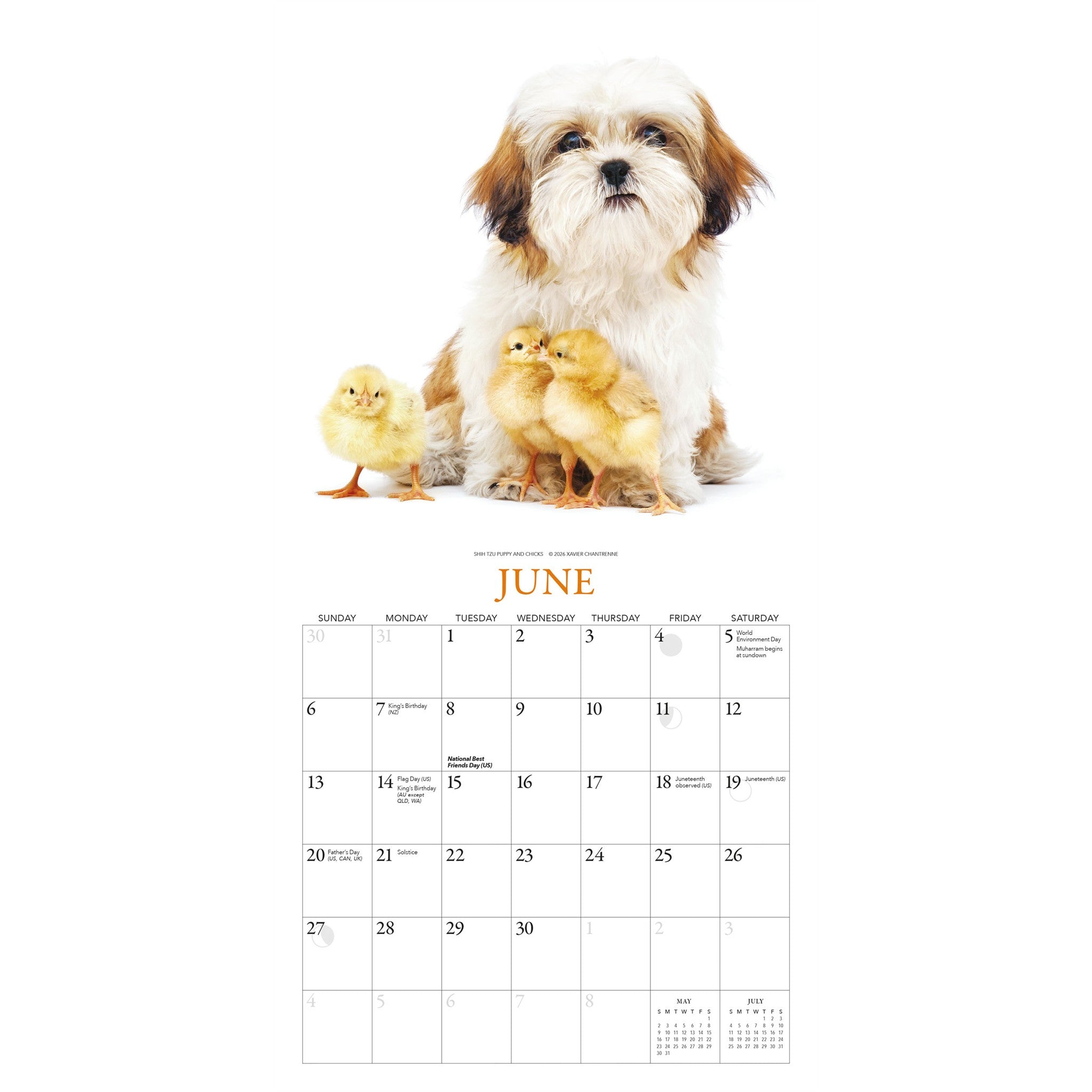 Puppies and Friends 2027 Mini Calendar